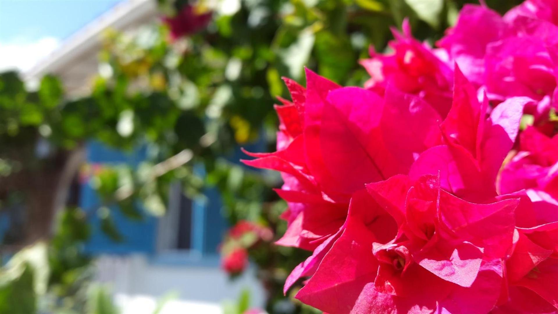 Pousada Casa Búzios