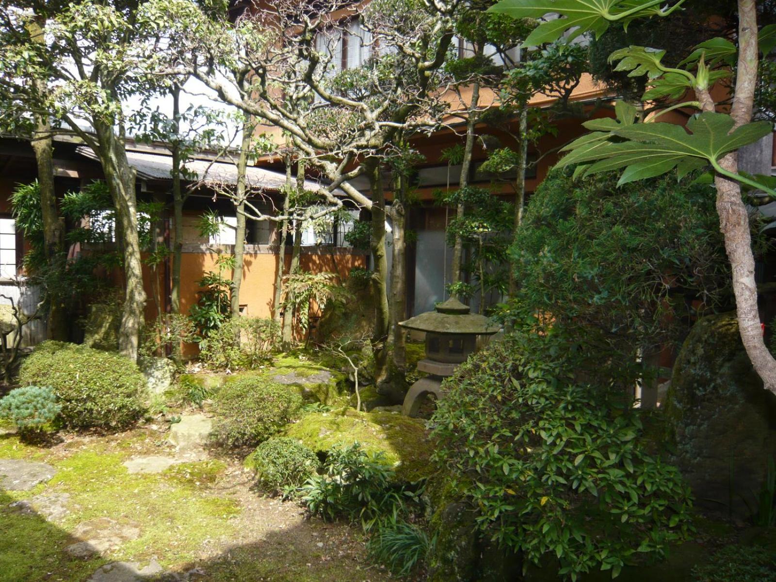 Photo 42