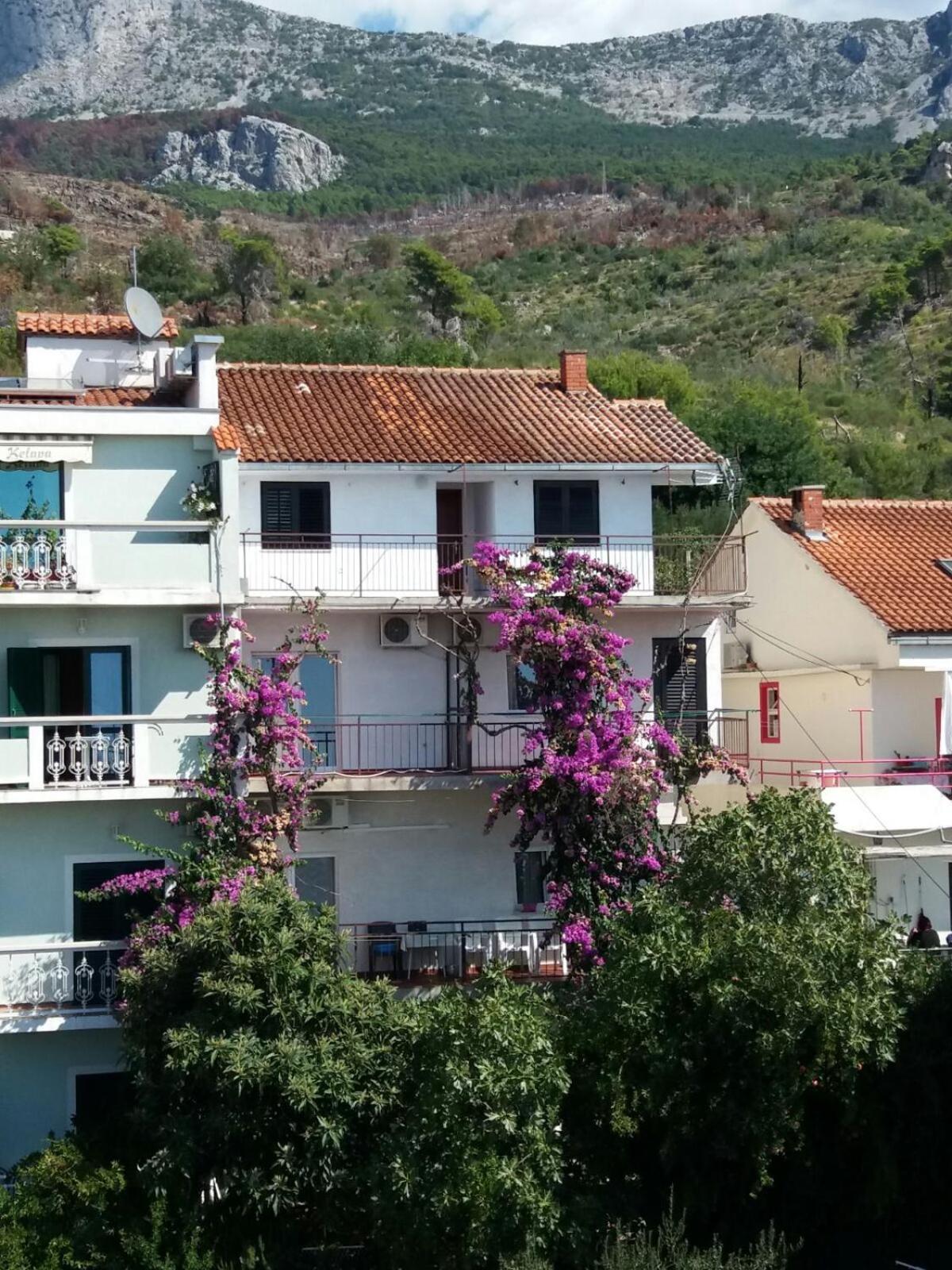 Apartmani Ivona s pogledom na more view 3