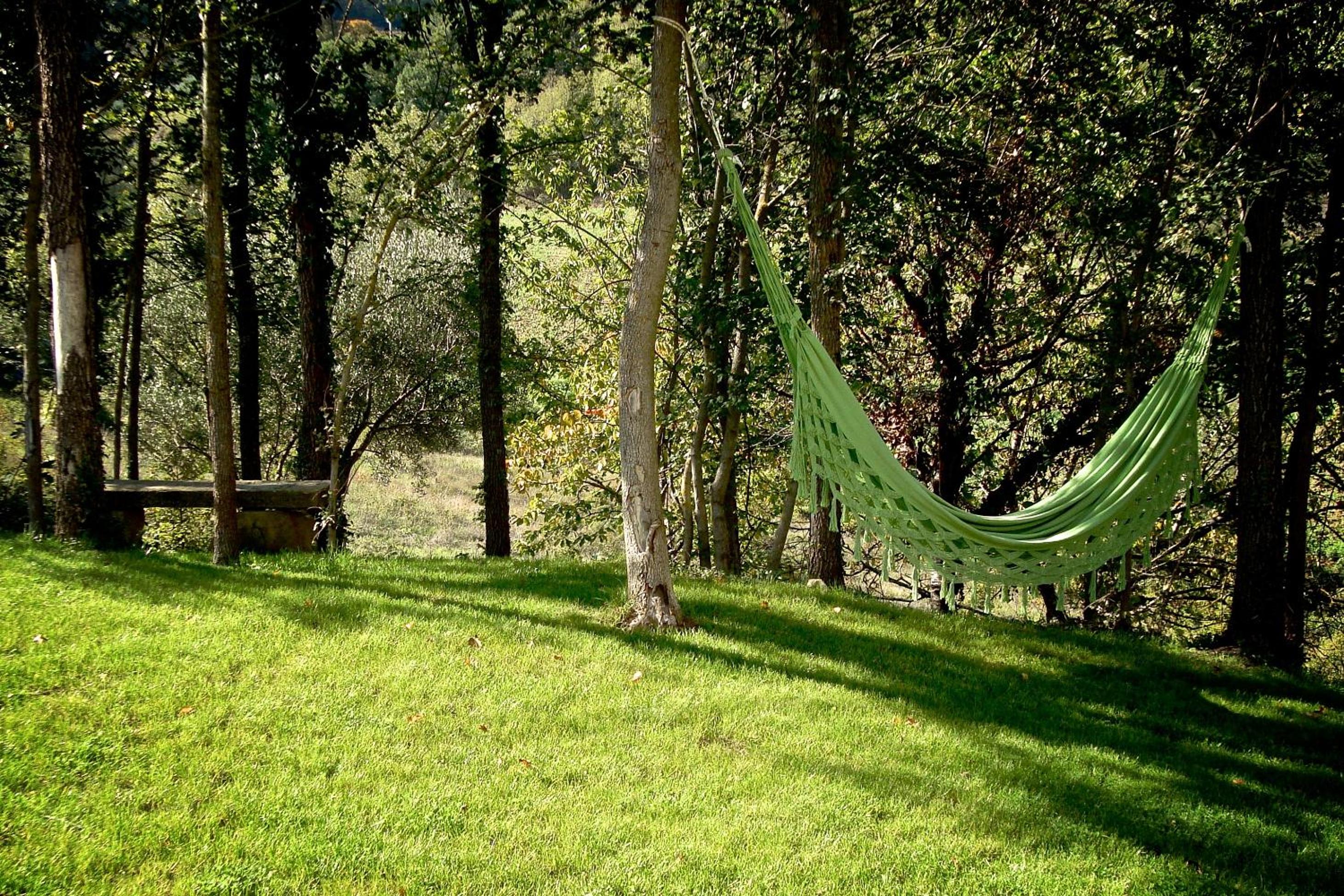 Agriturismo Montelovesco