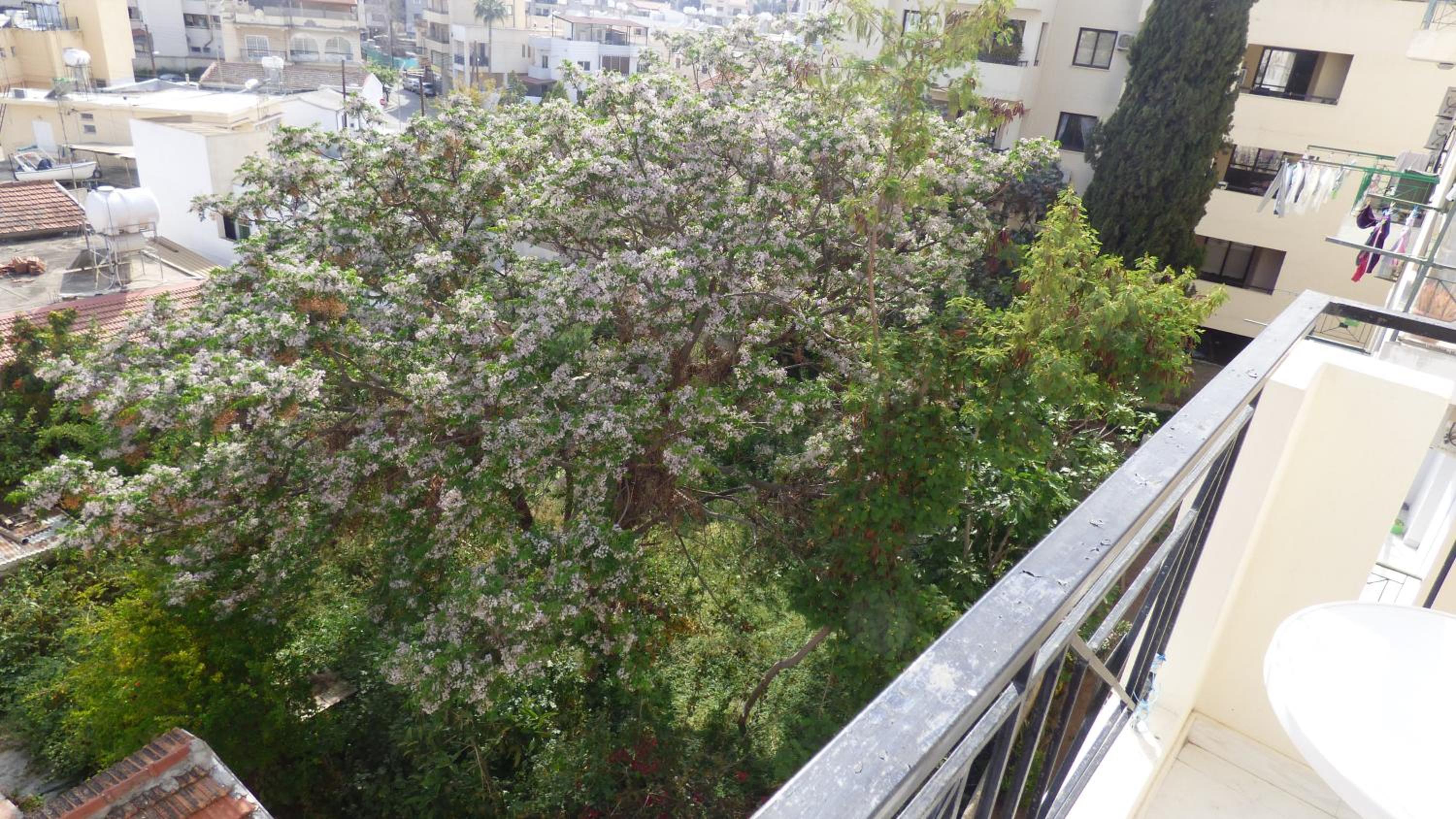 Kimonos Guesthouse