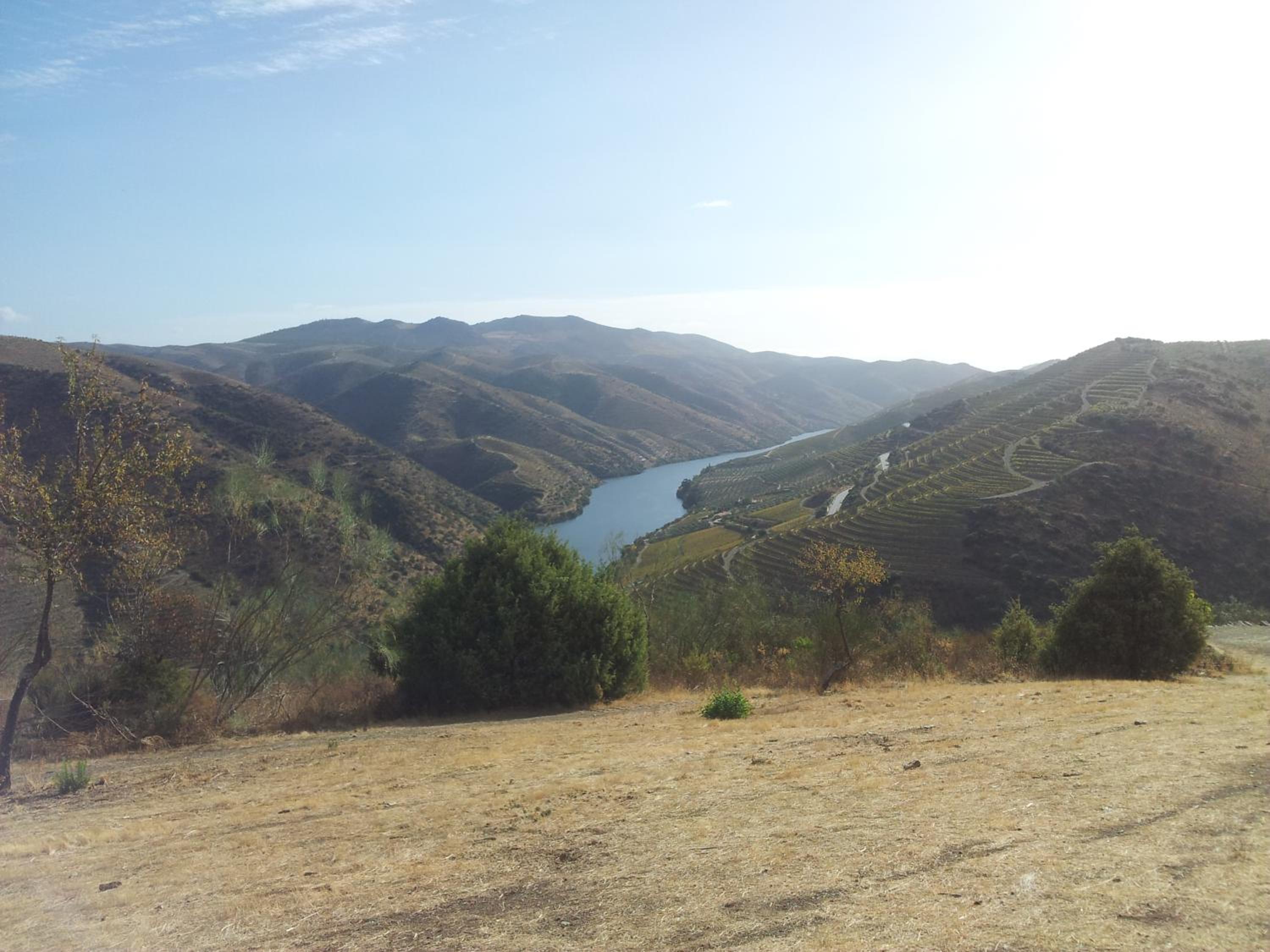 Photo 45