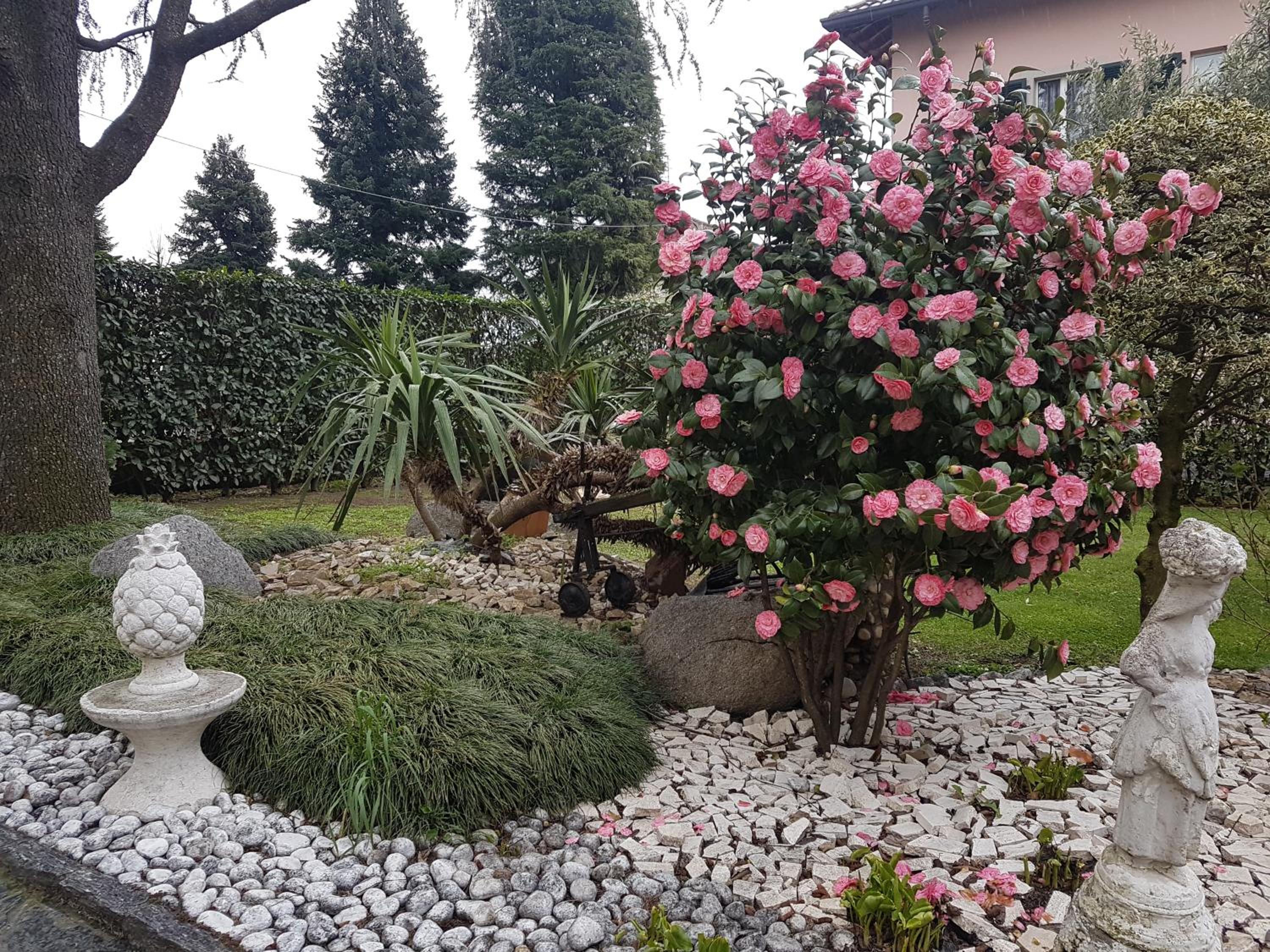 B&B Le Palme