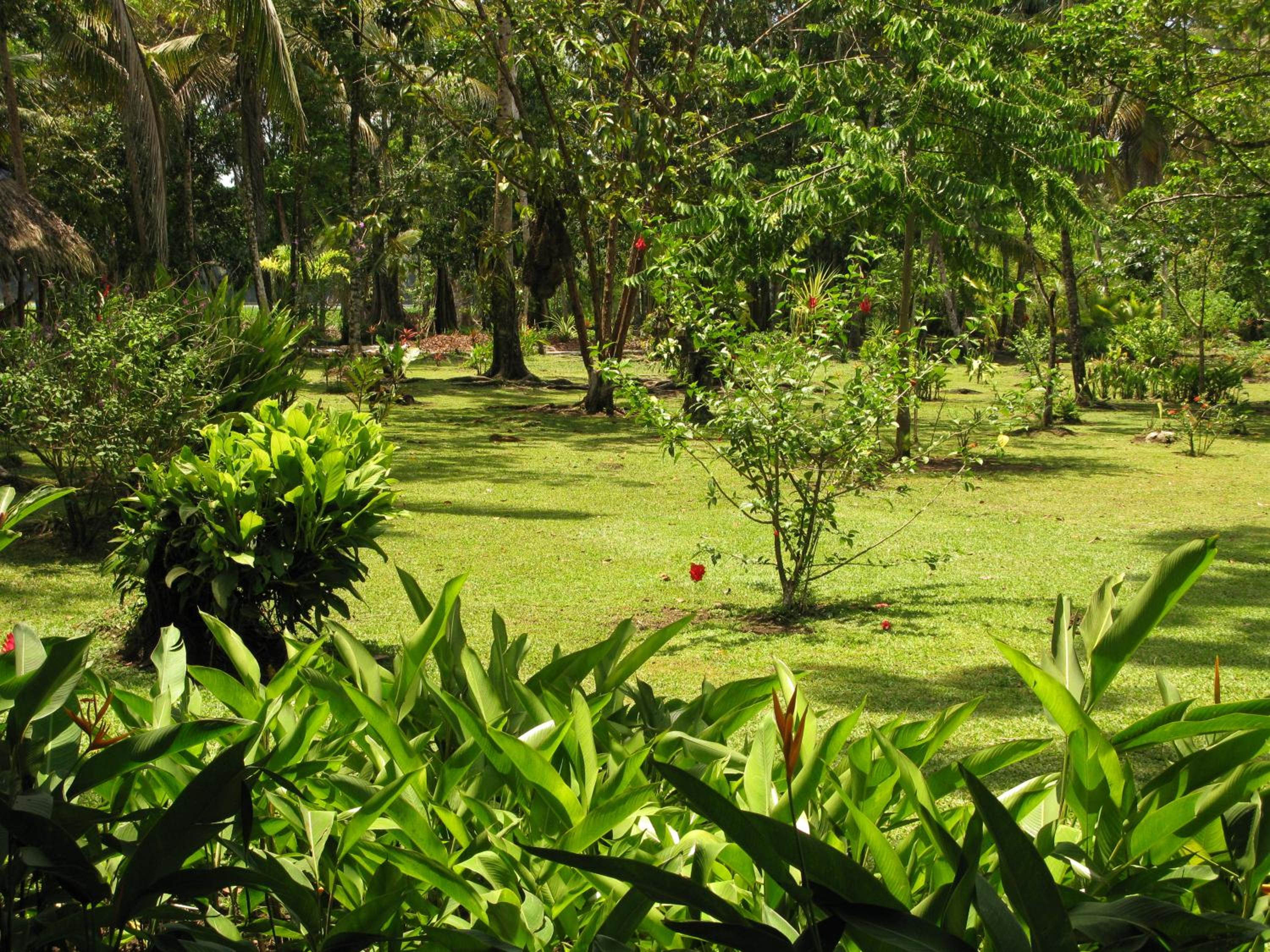 Lirio Lodge