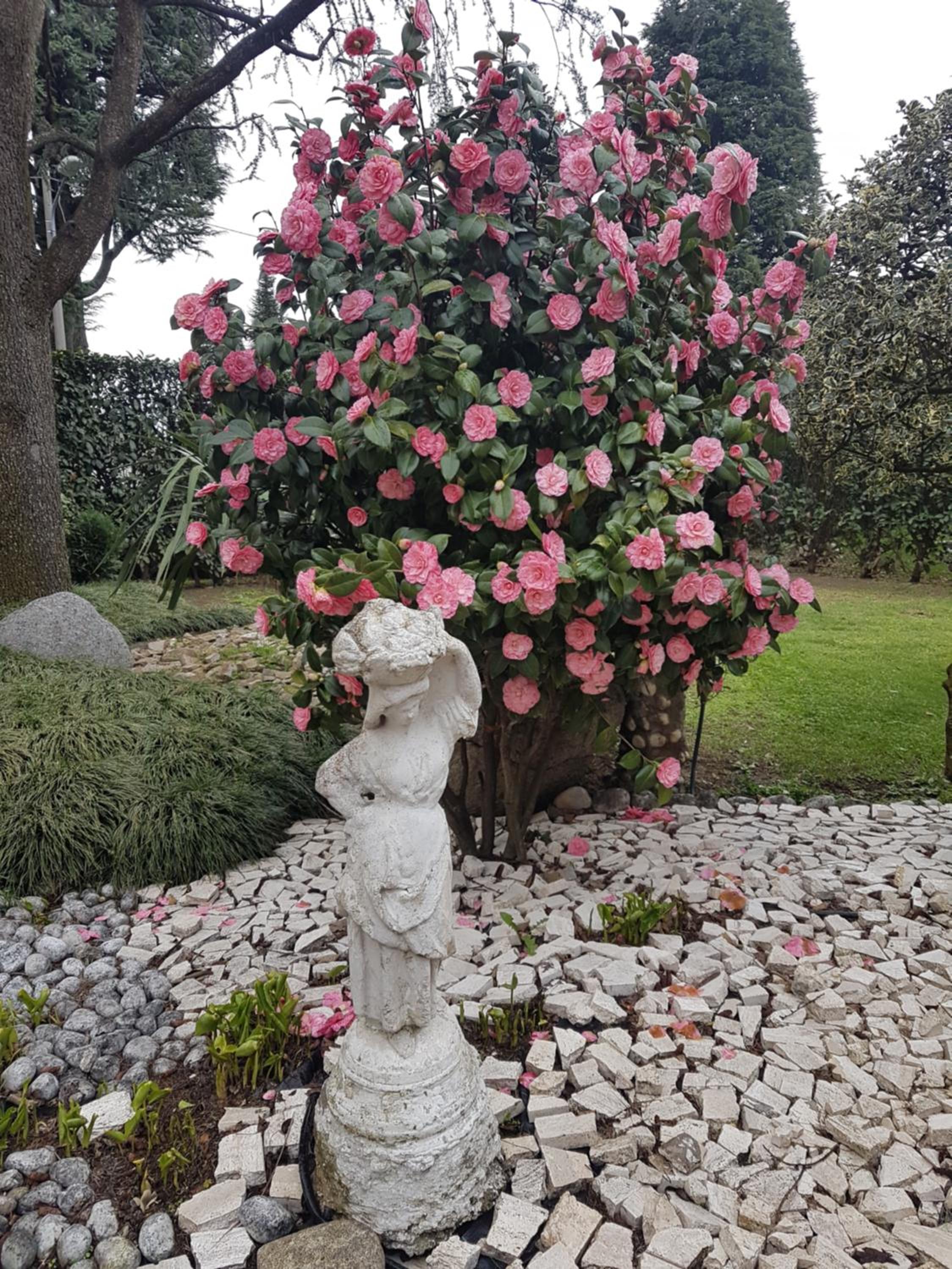 B&B Le Palme