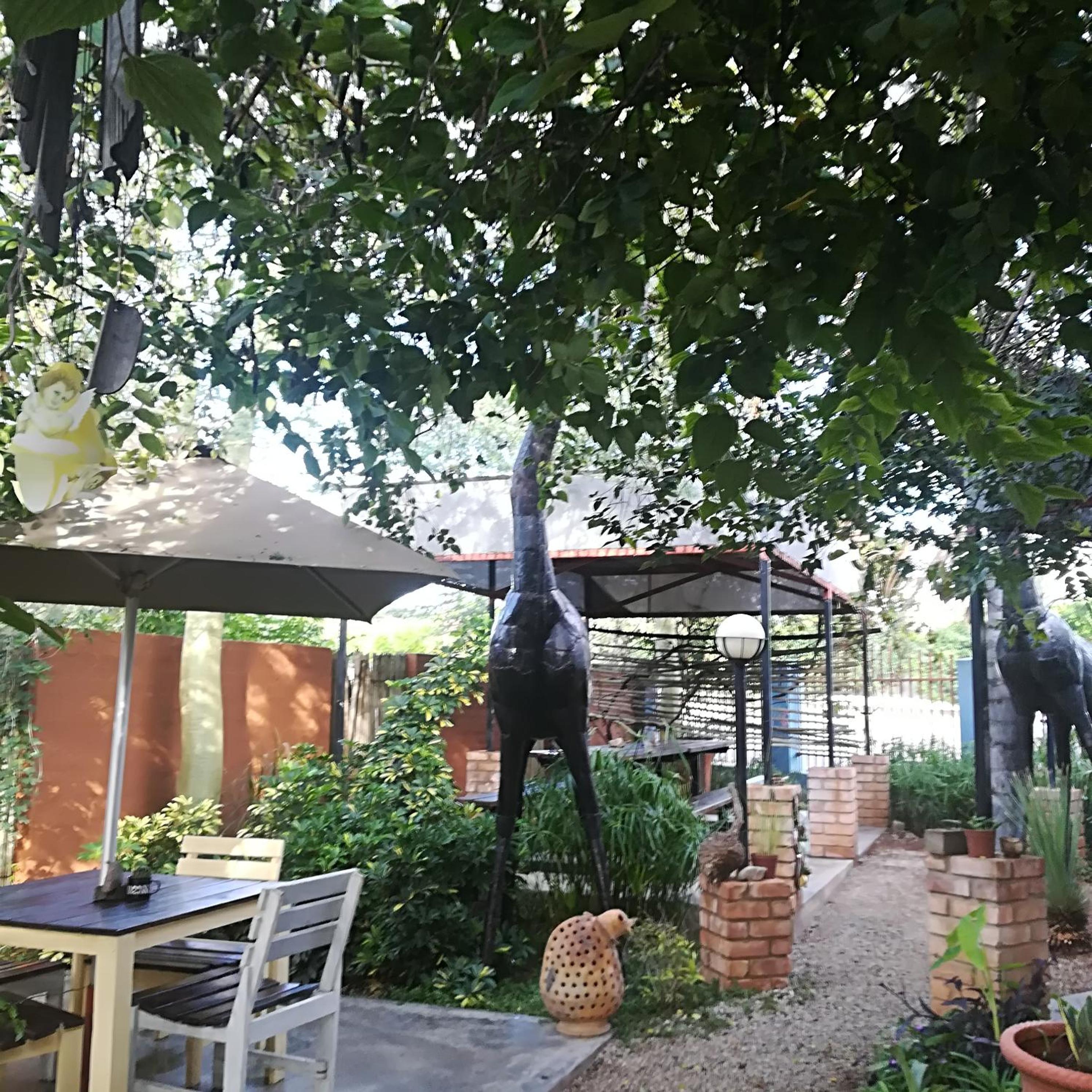 Farmhouse Boutique Backyard Rooms