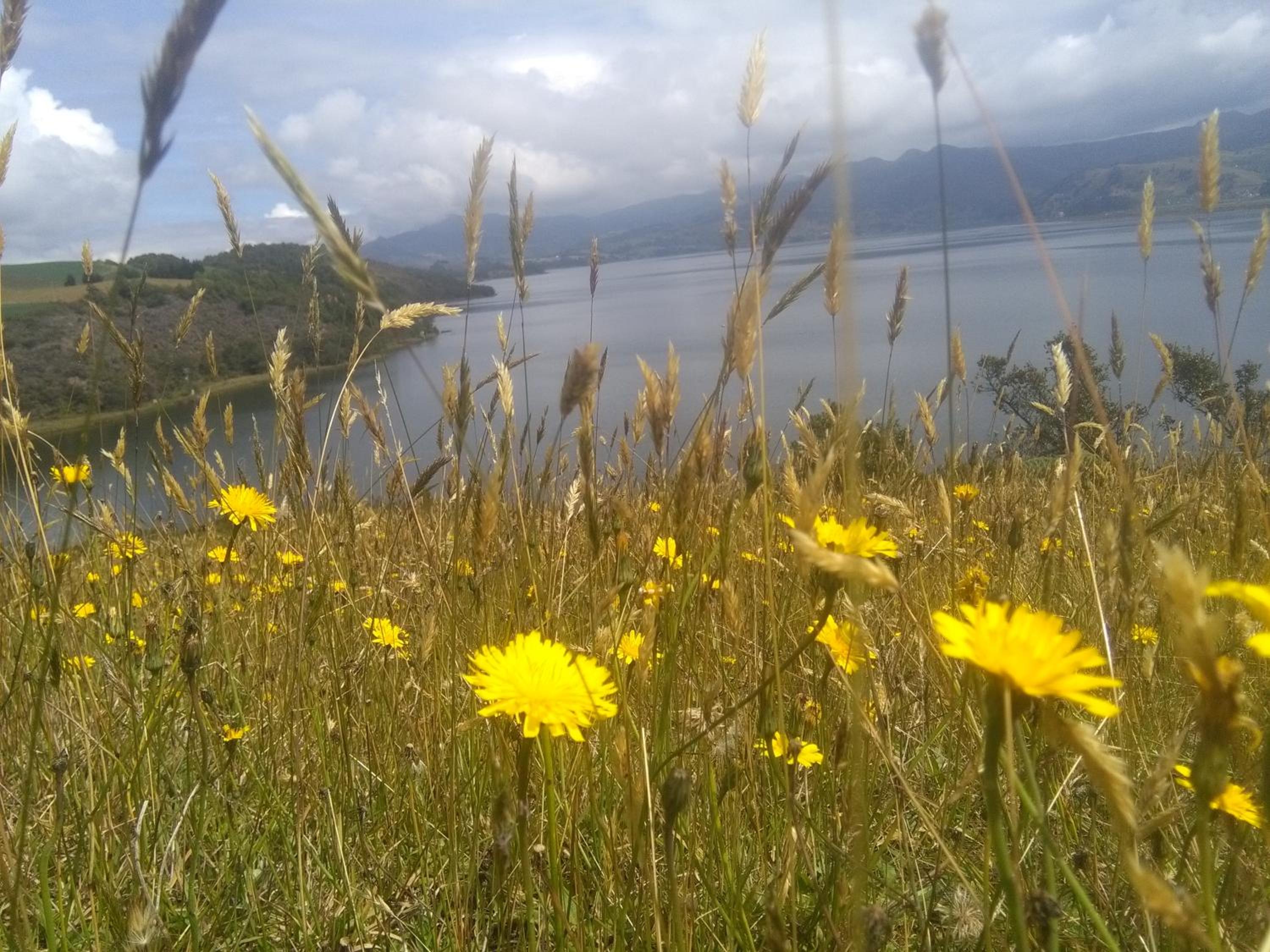 La cabaña de sol