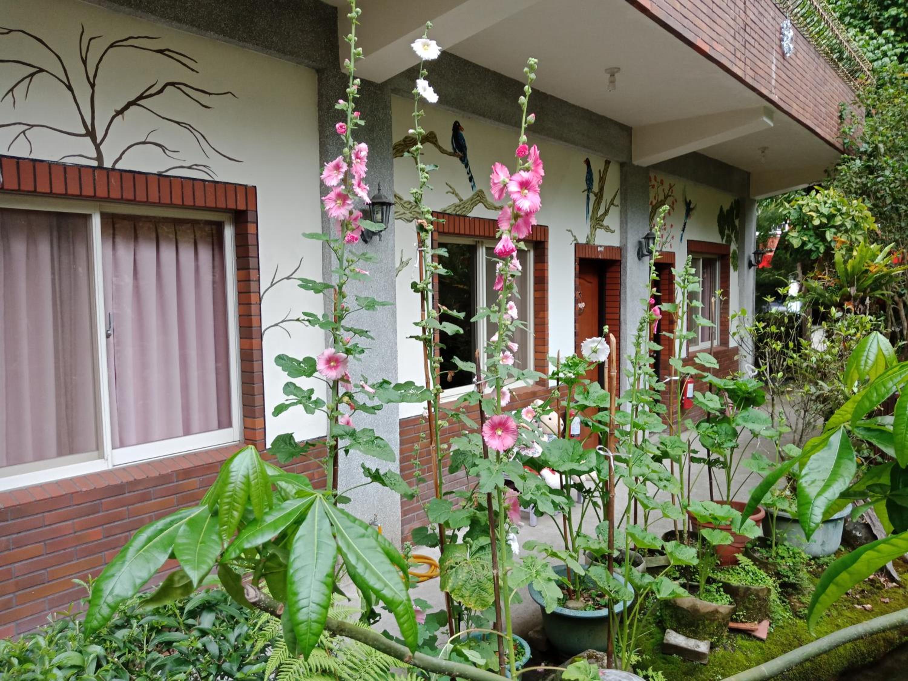Yi Jia Yuan Homestay view 2