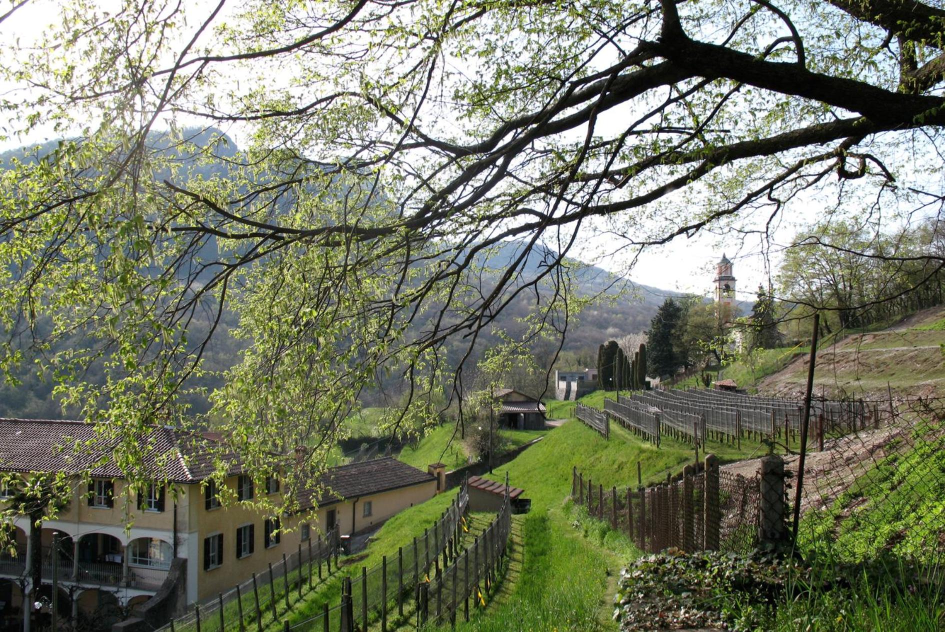 Charming B&B and Osteria La Crisalide