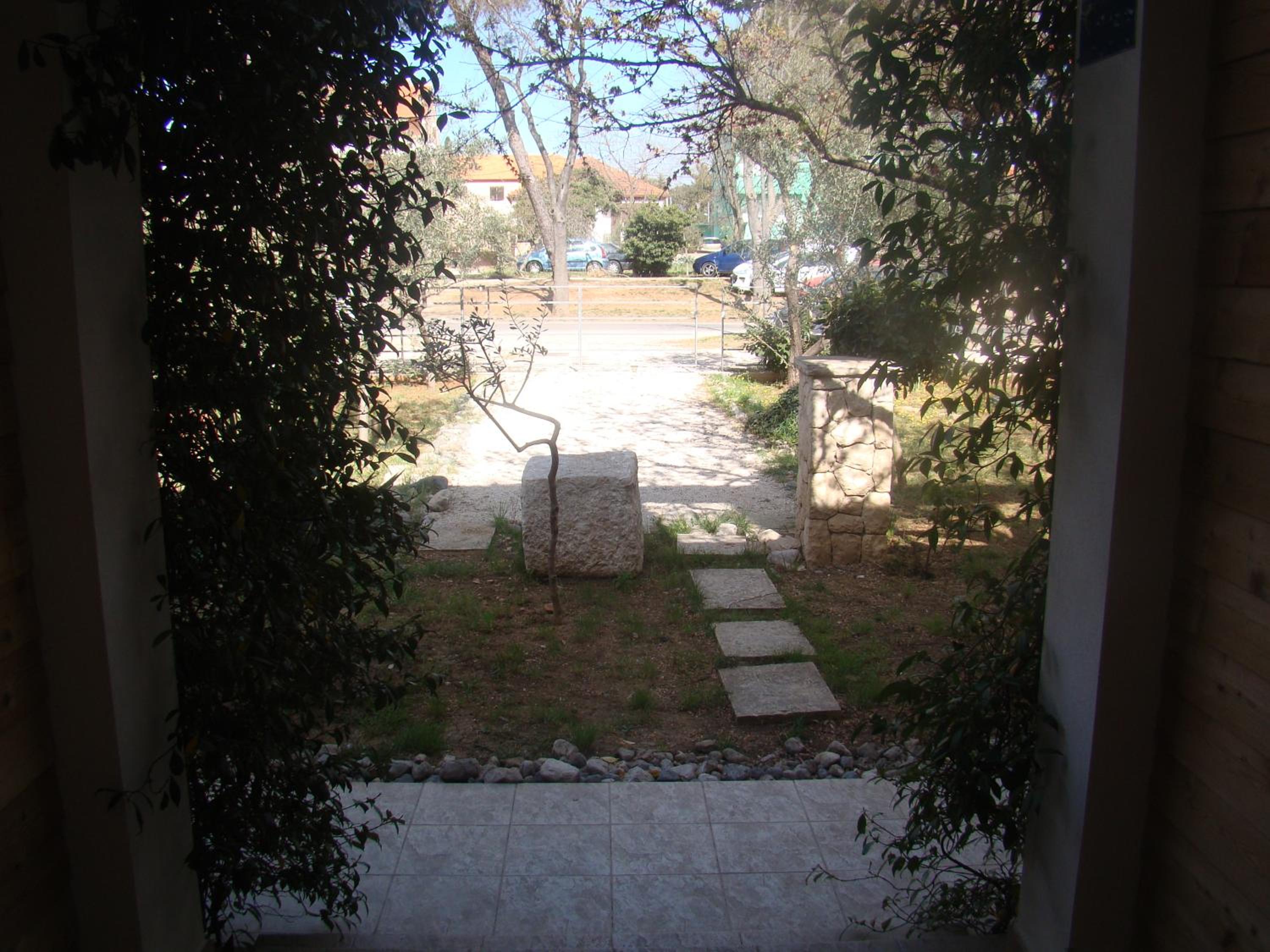 Photo 51