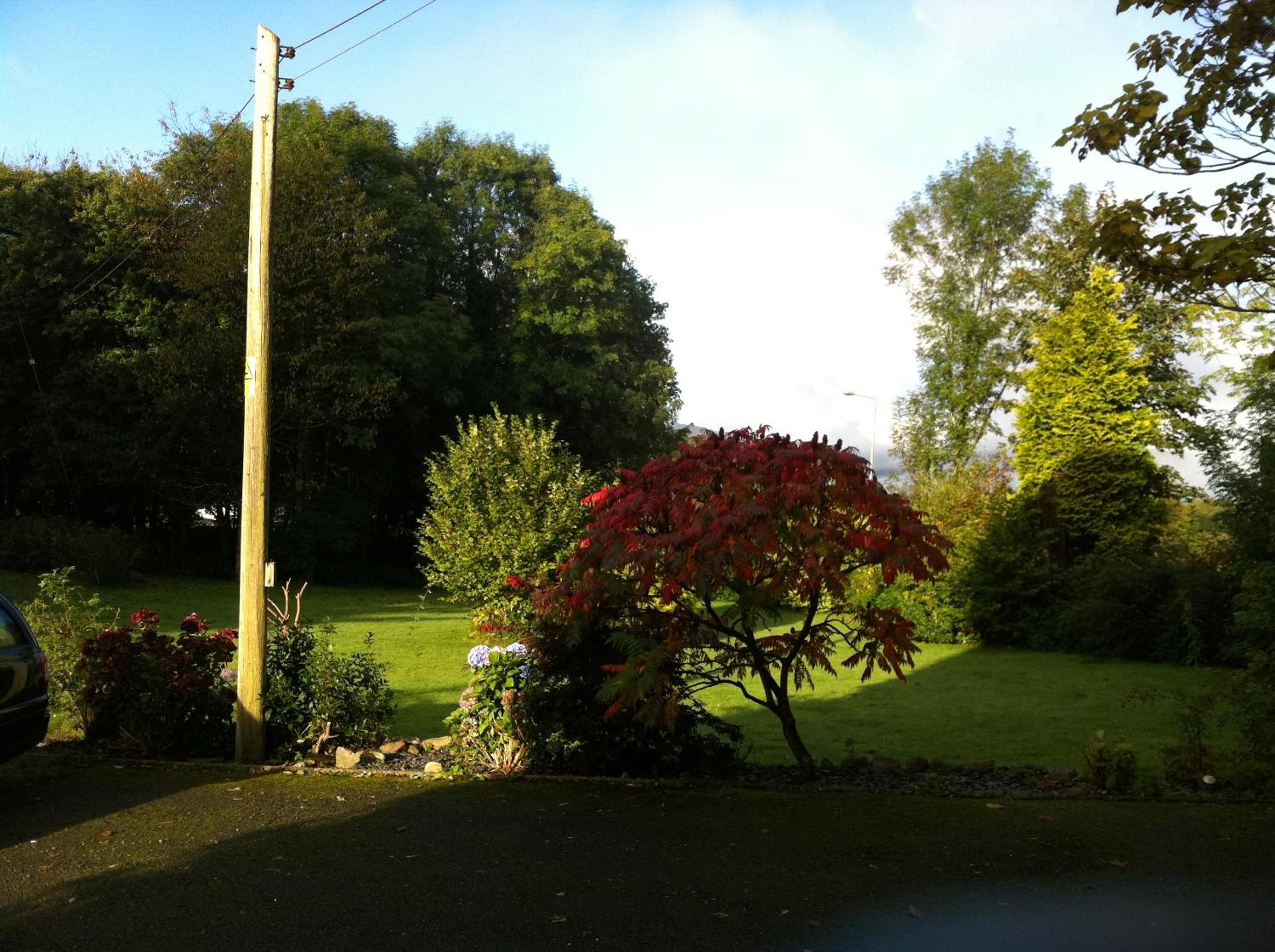 Photo 38