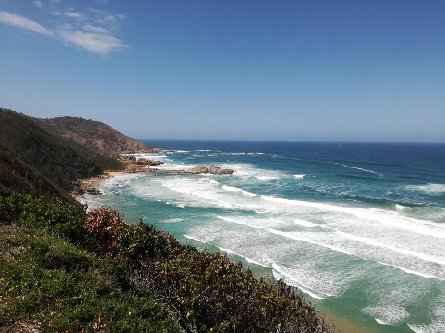 Brenton Bushbuck Lookout