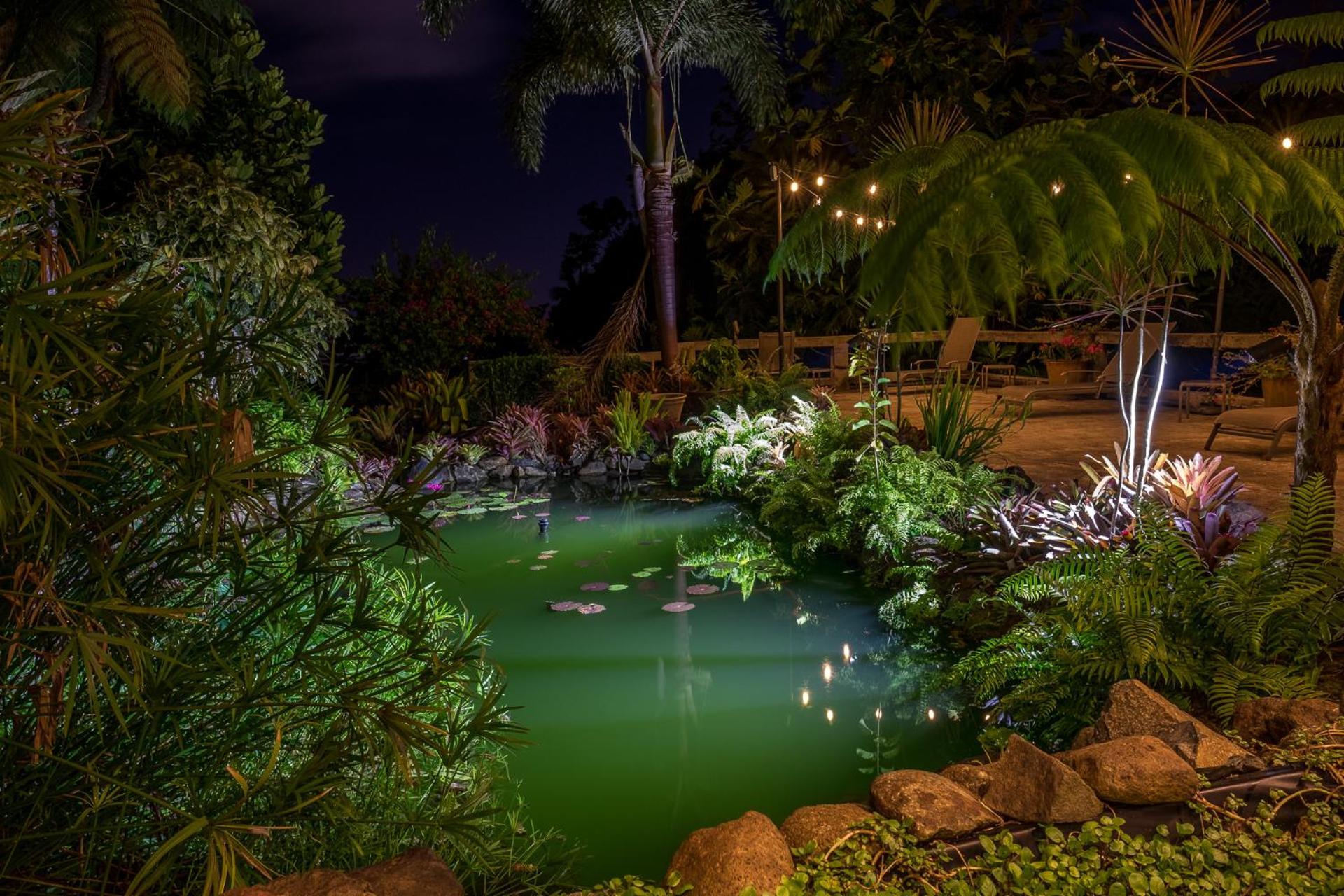 El Yunque Rainforest Inn - Property Image 22
