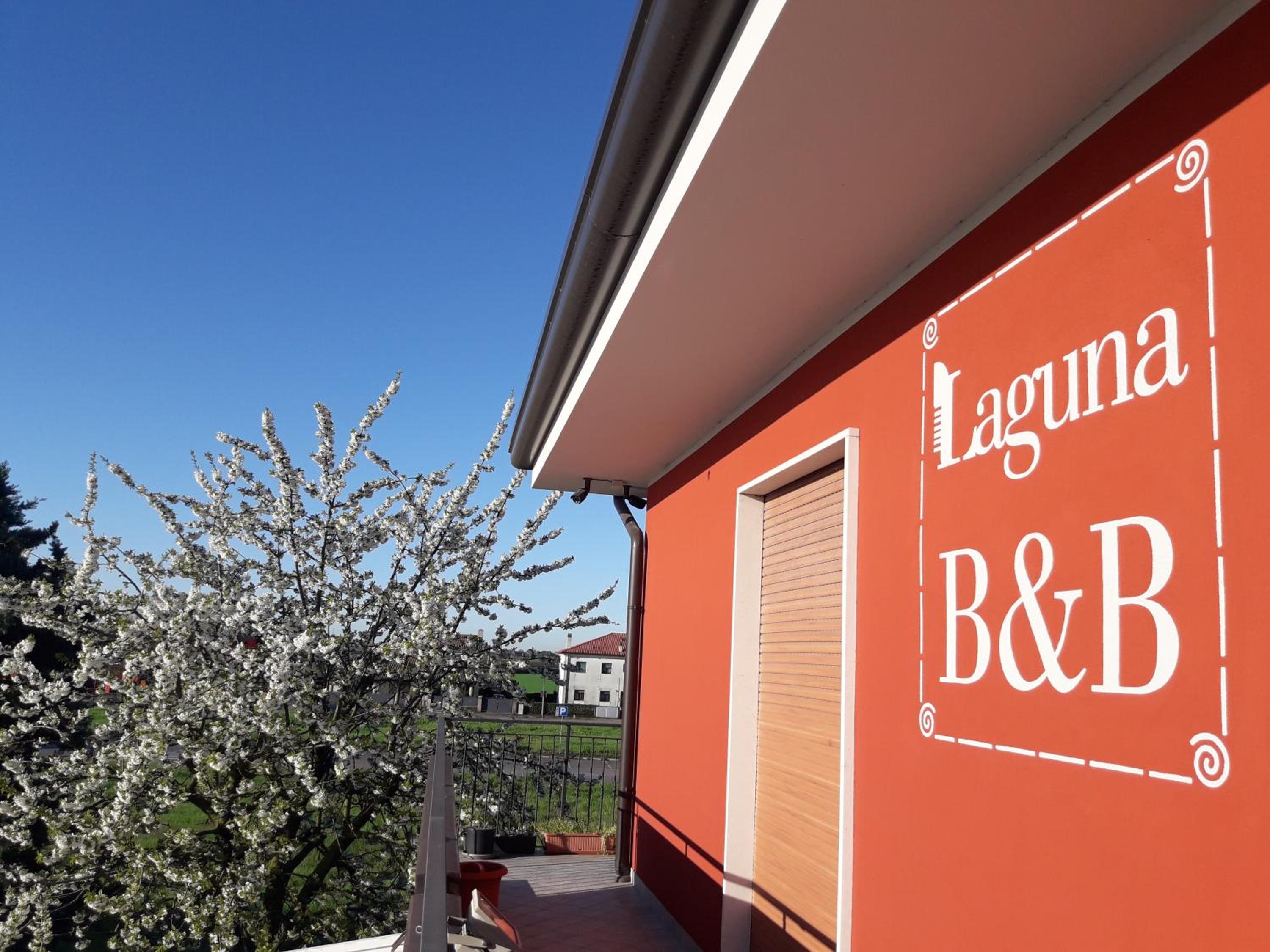 Laguna B&B view 2