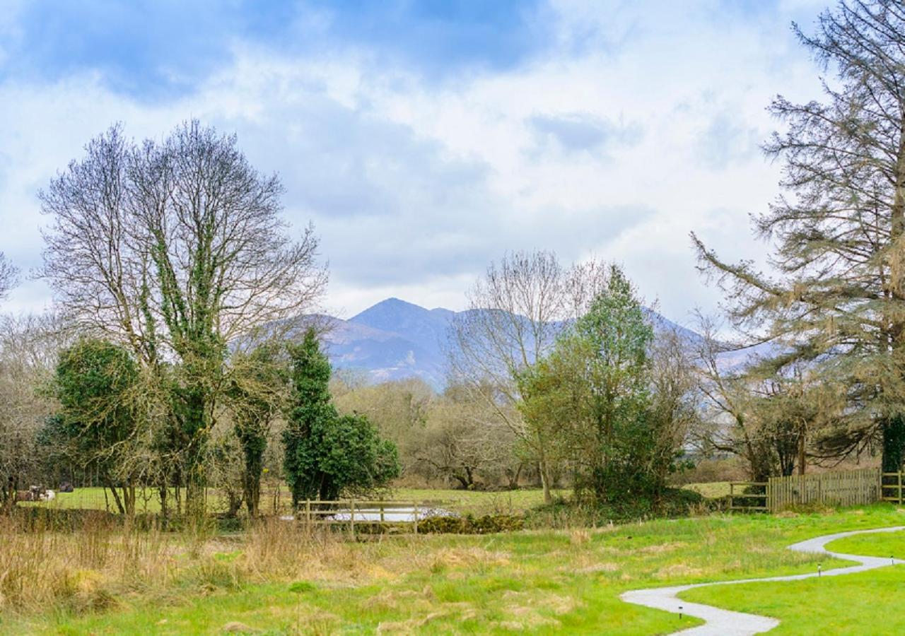 Killarney Glamping at the Grove, Suites and Lodges