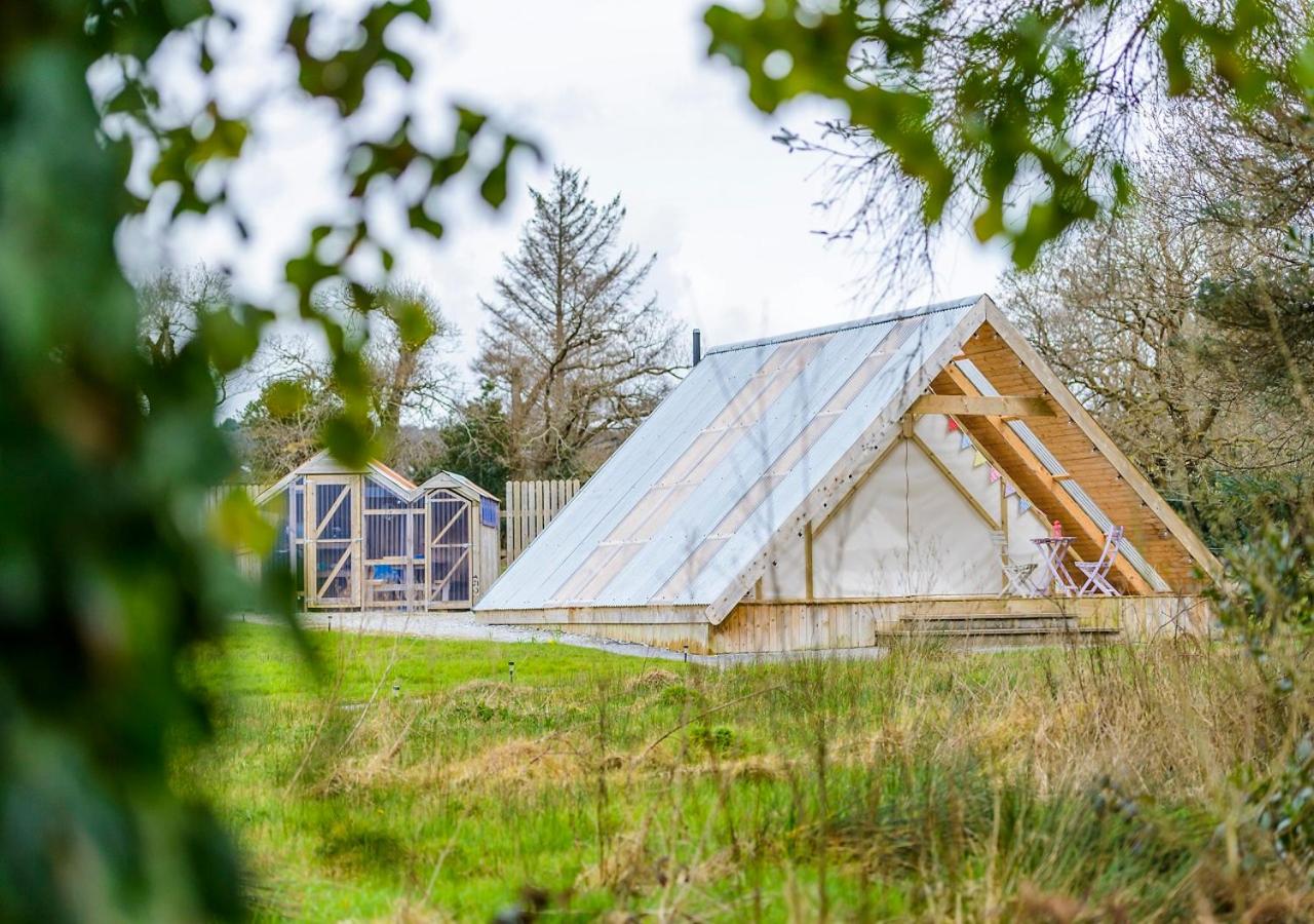 Killarney Glamping at the Grove, Suites and Lodges