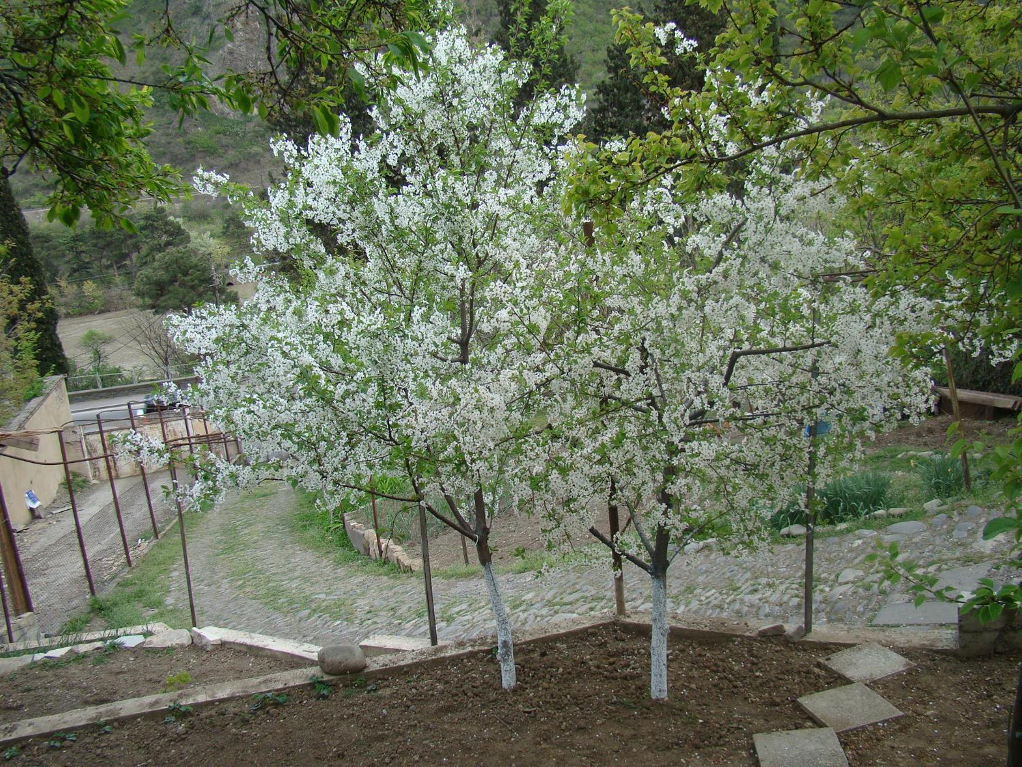 Photo 47