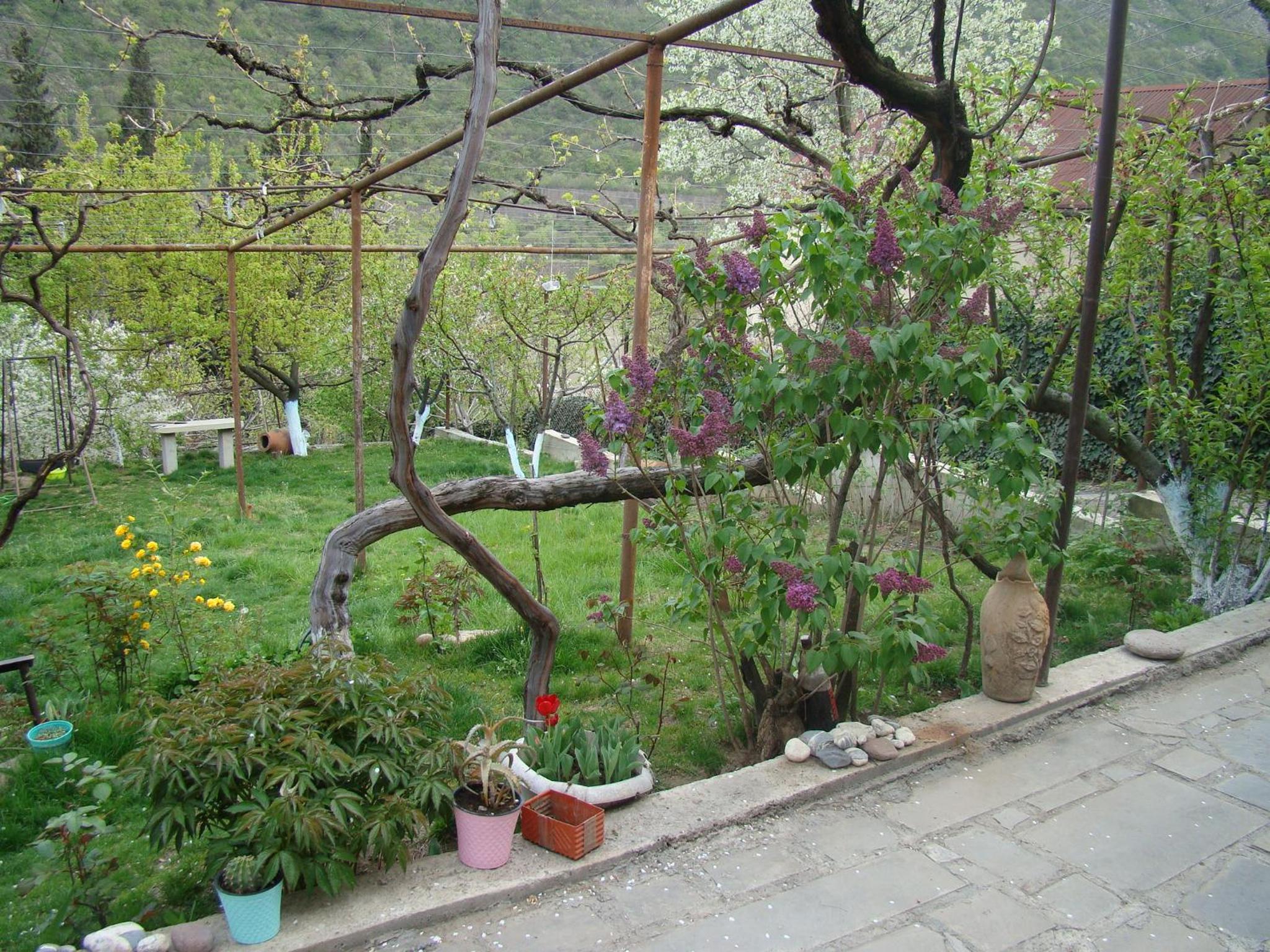 Photo 45