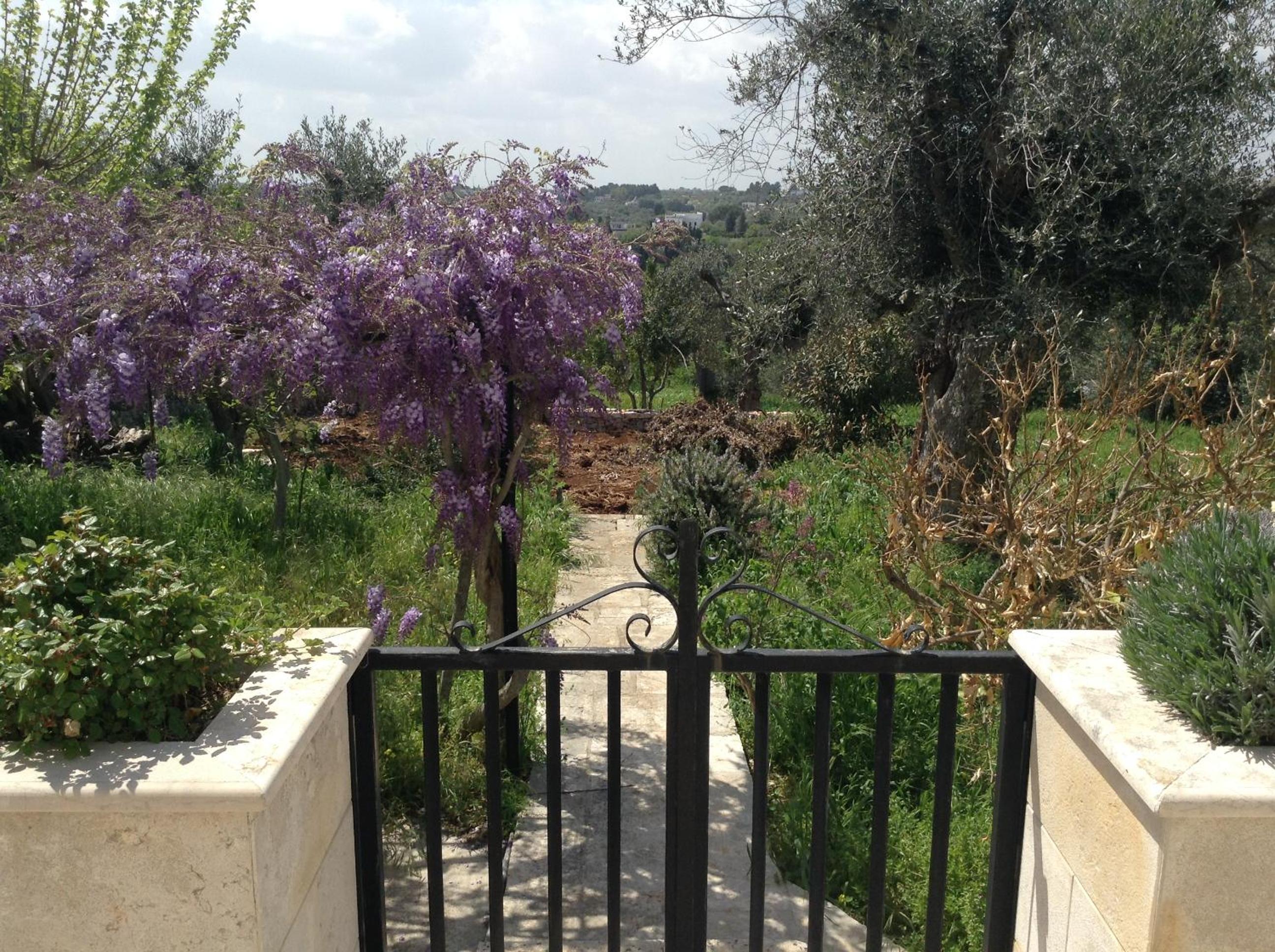 Photo 18
