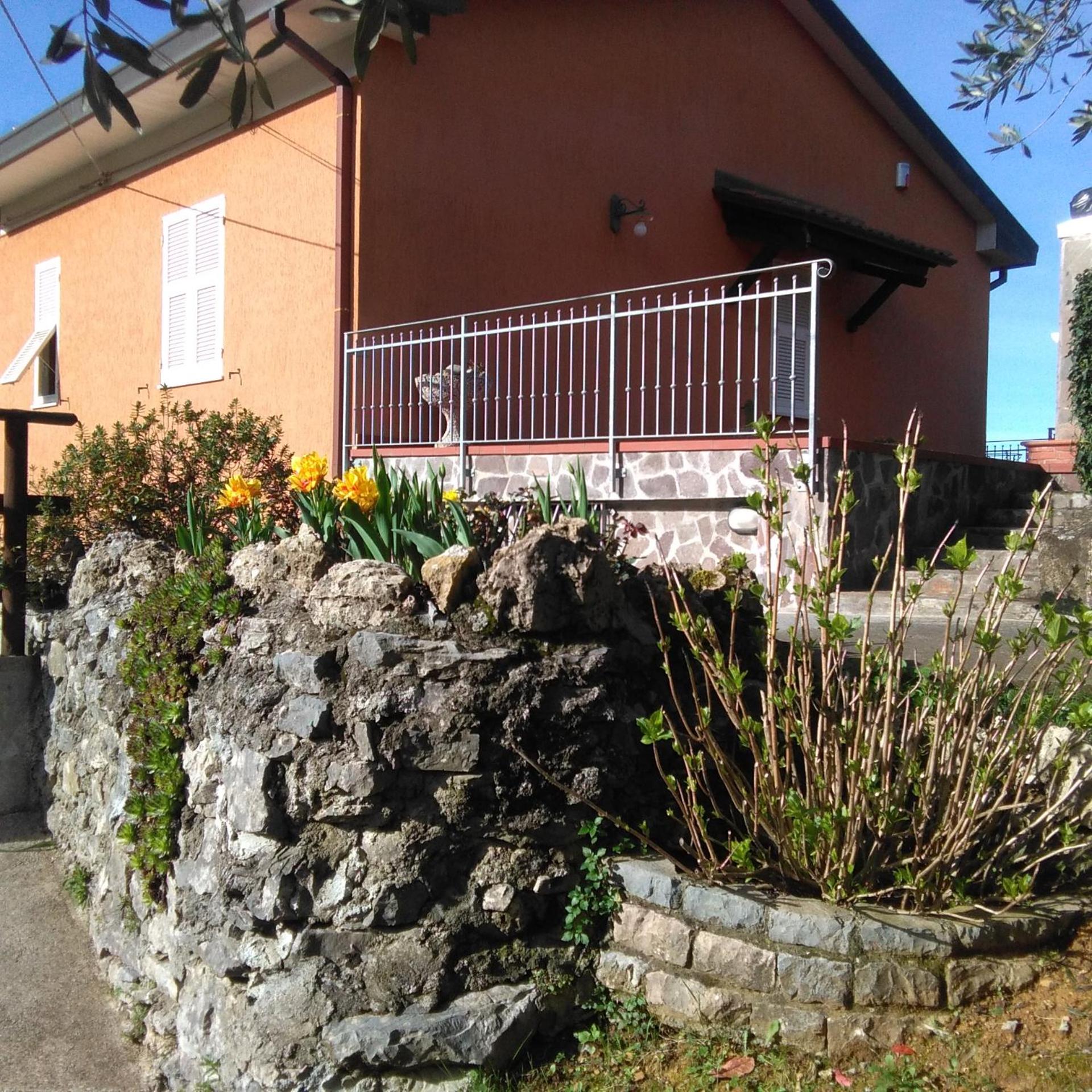 Photo 61