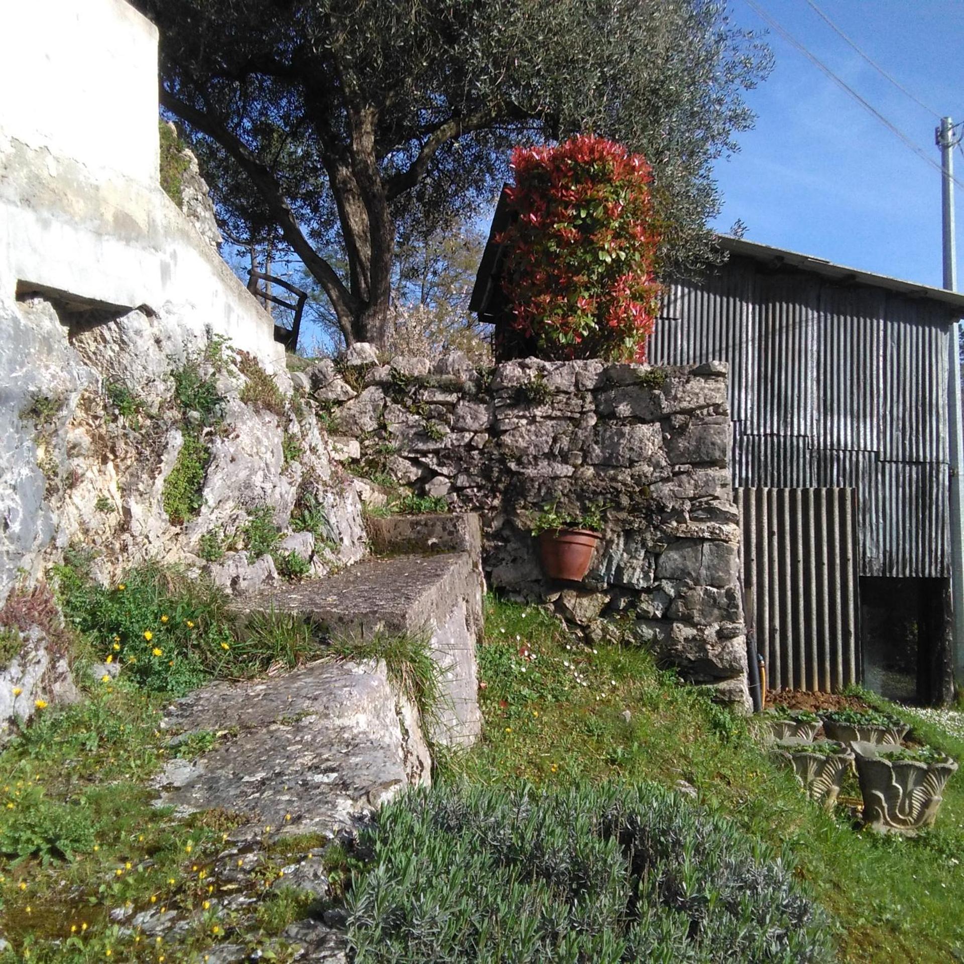 Photo 60