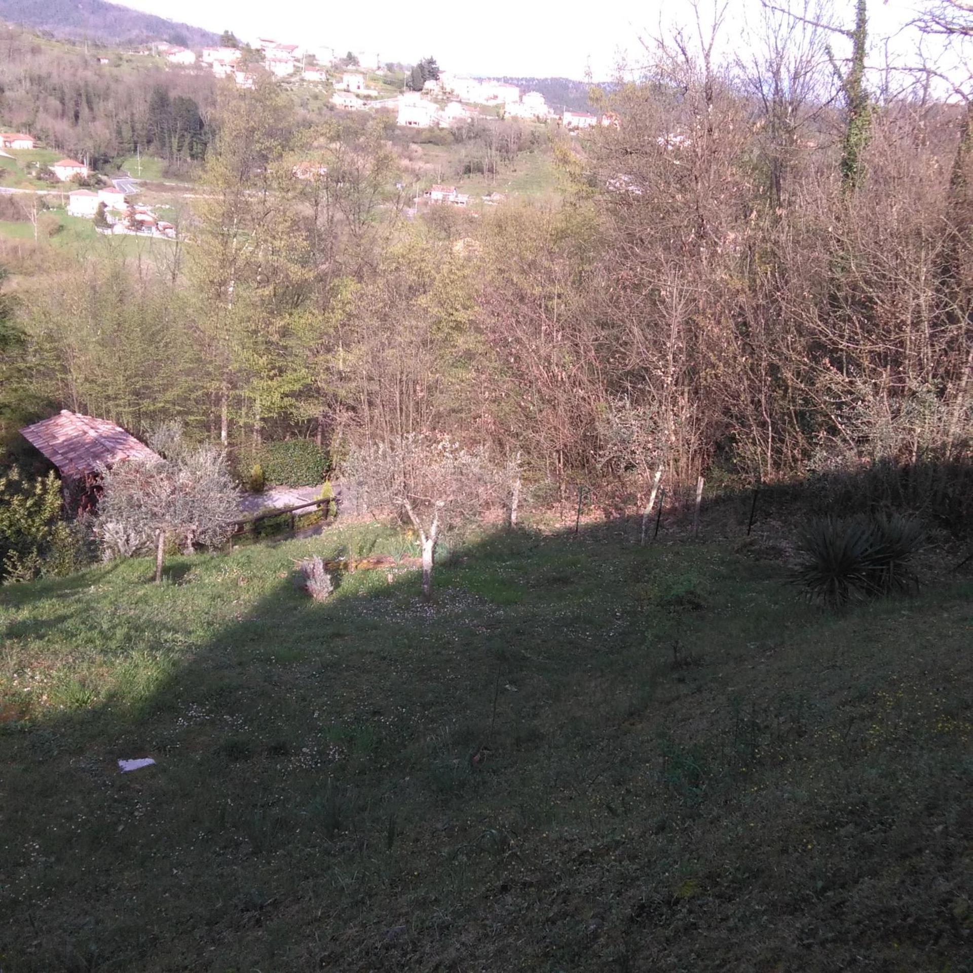 Photo 52