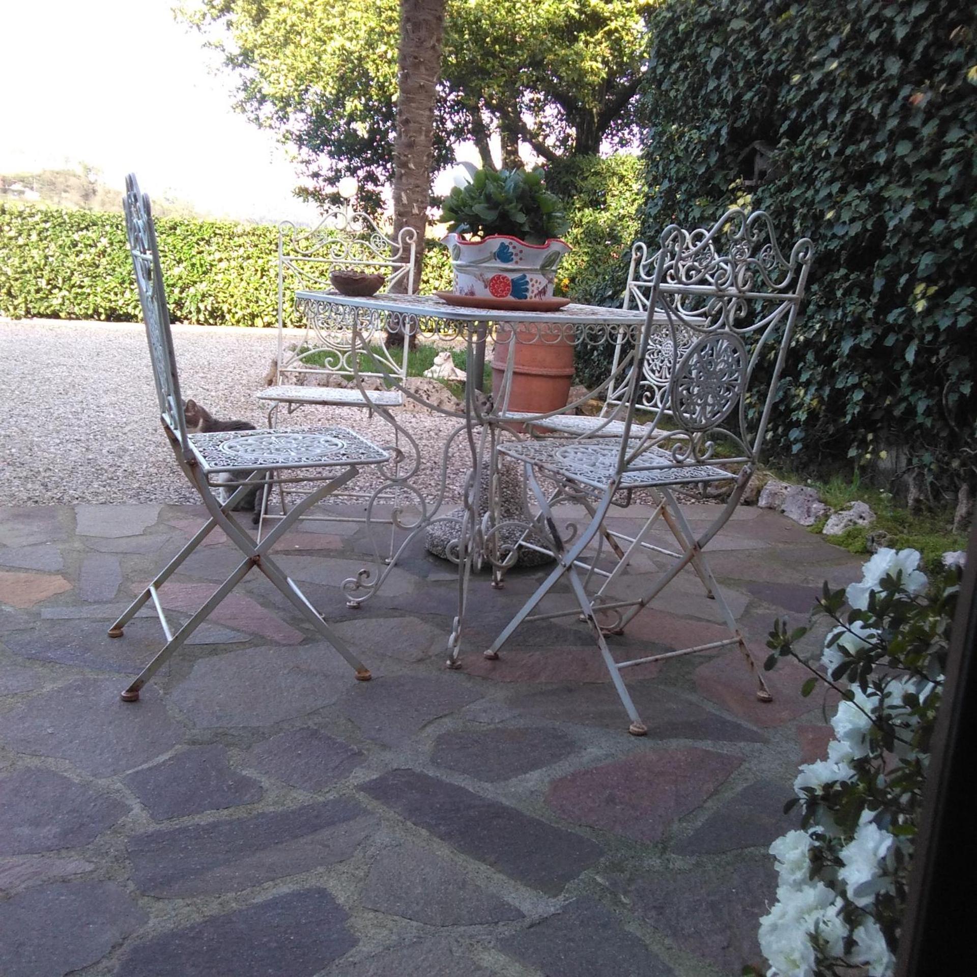 Photo 51