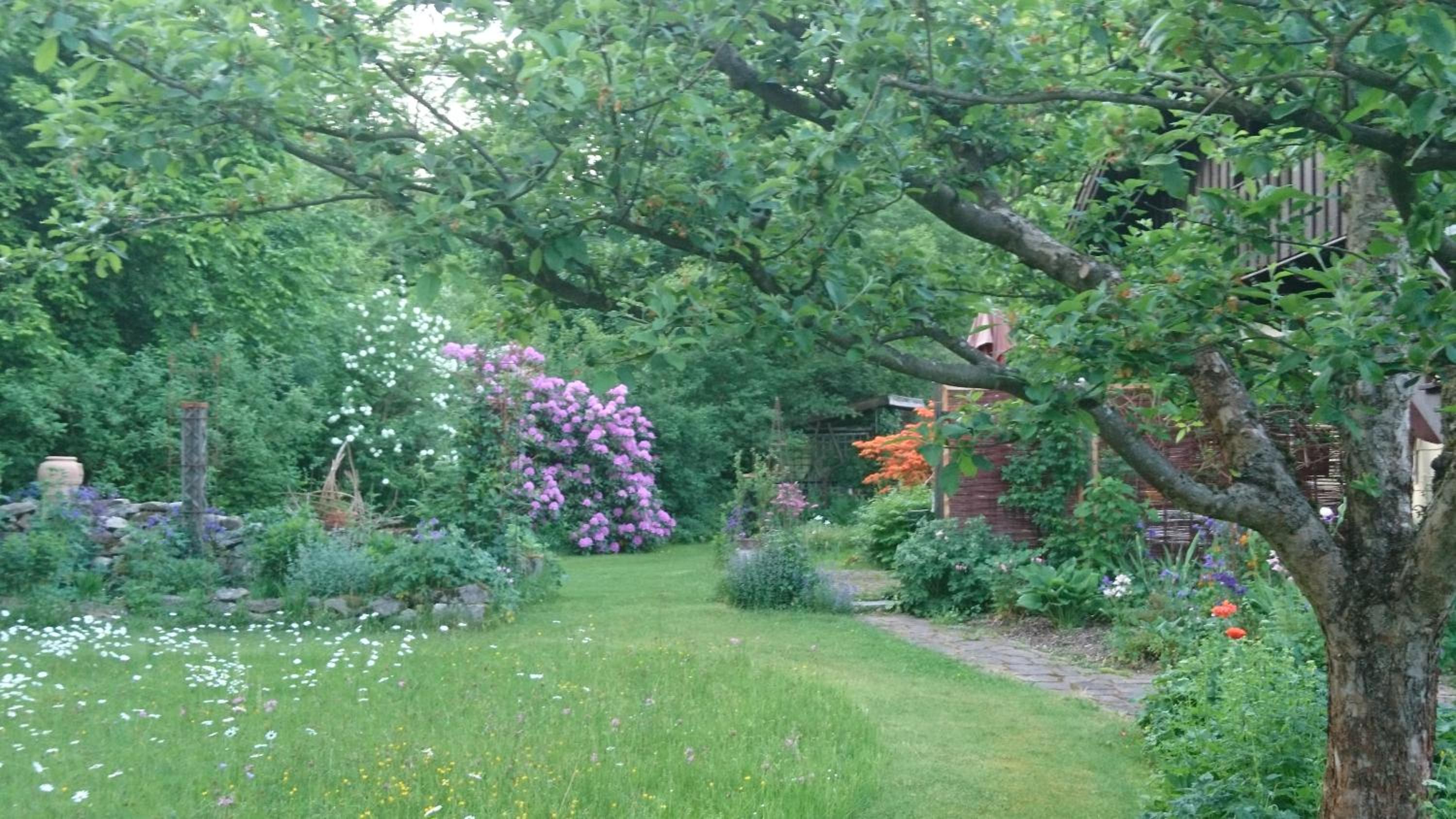 Photo 11