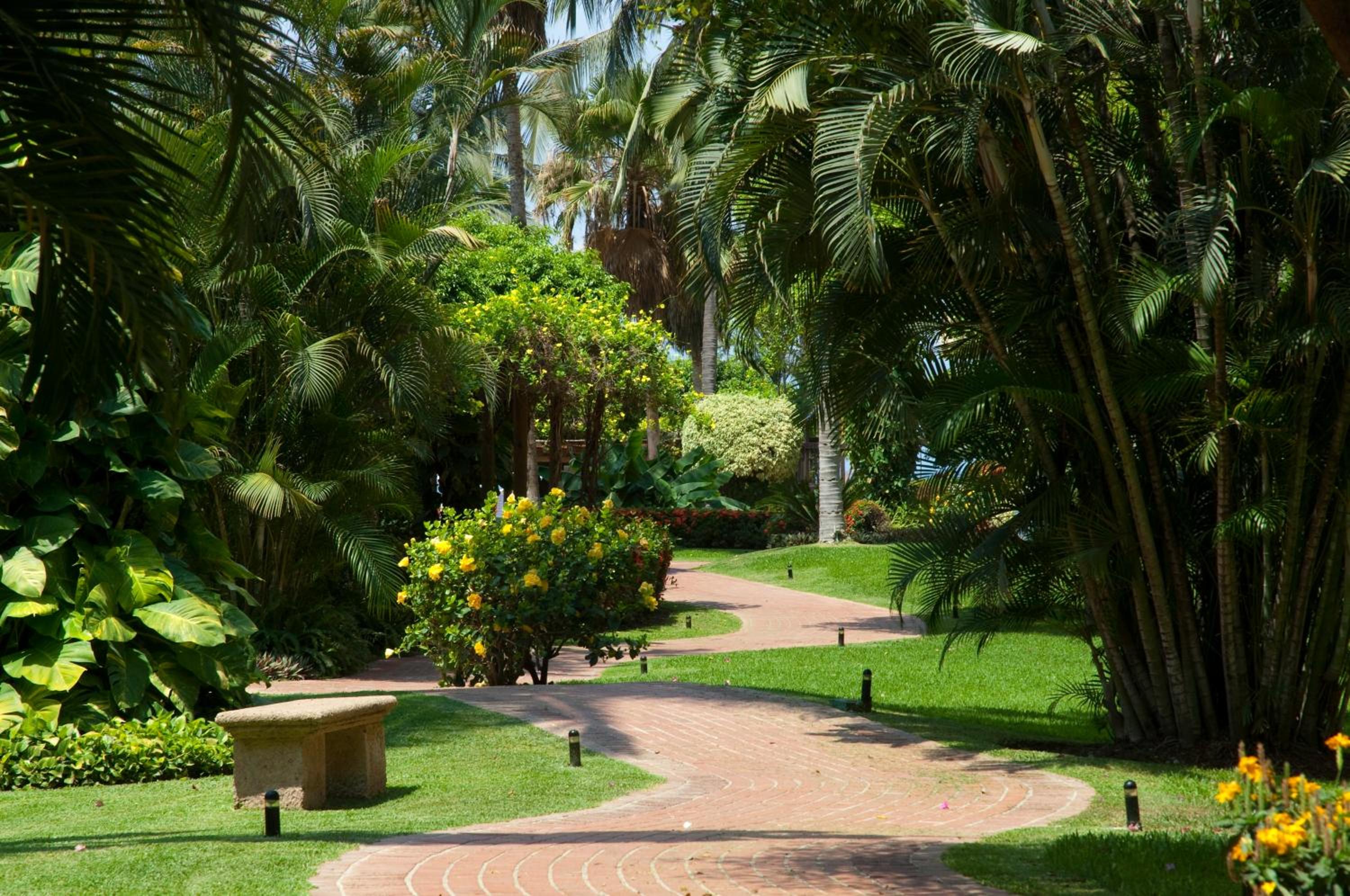 Velas Vallarta Suite Resort All-Inclusive 照片第 37 張,共 68 張