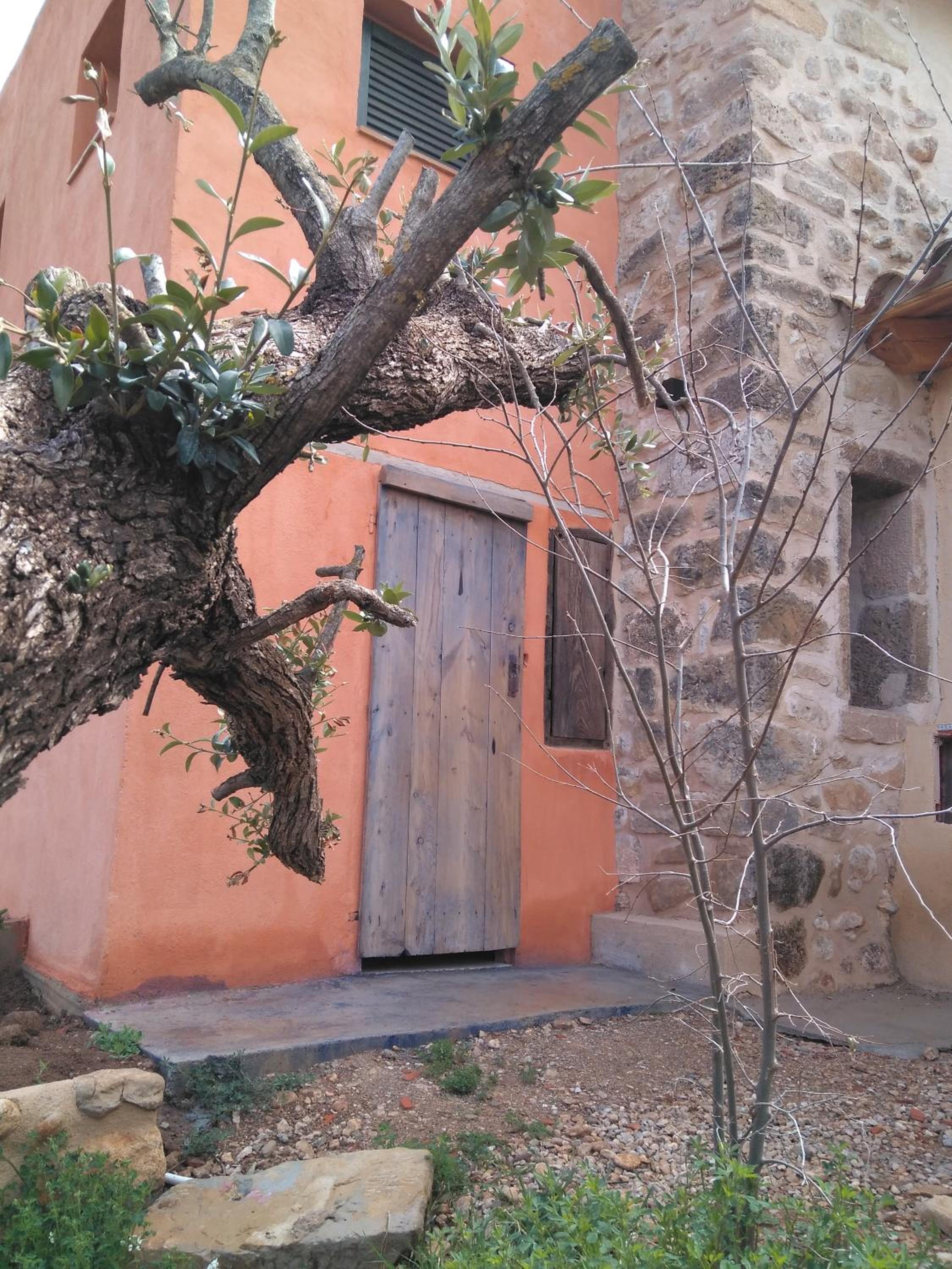 Photo 22
