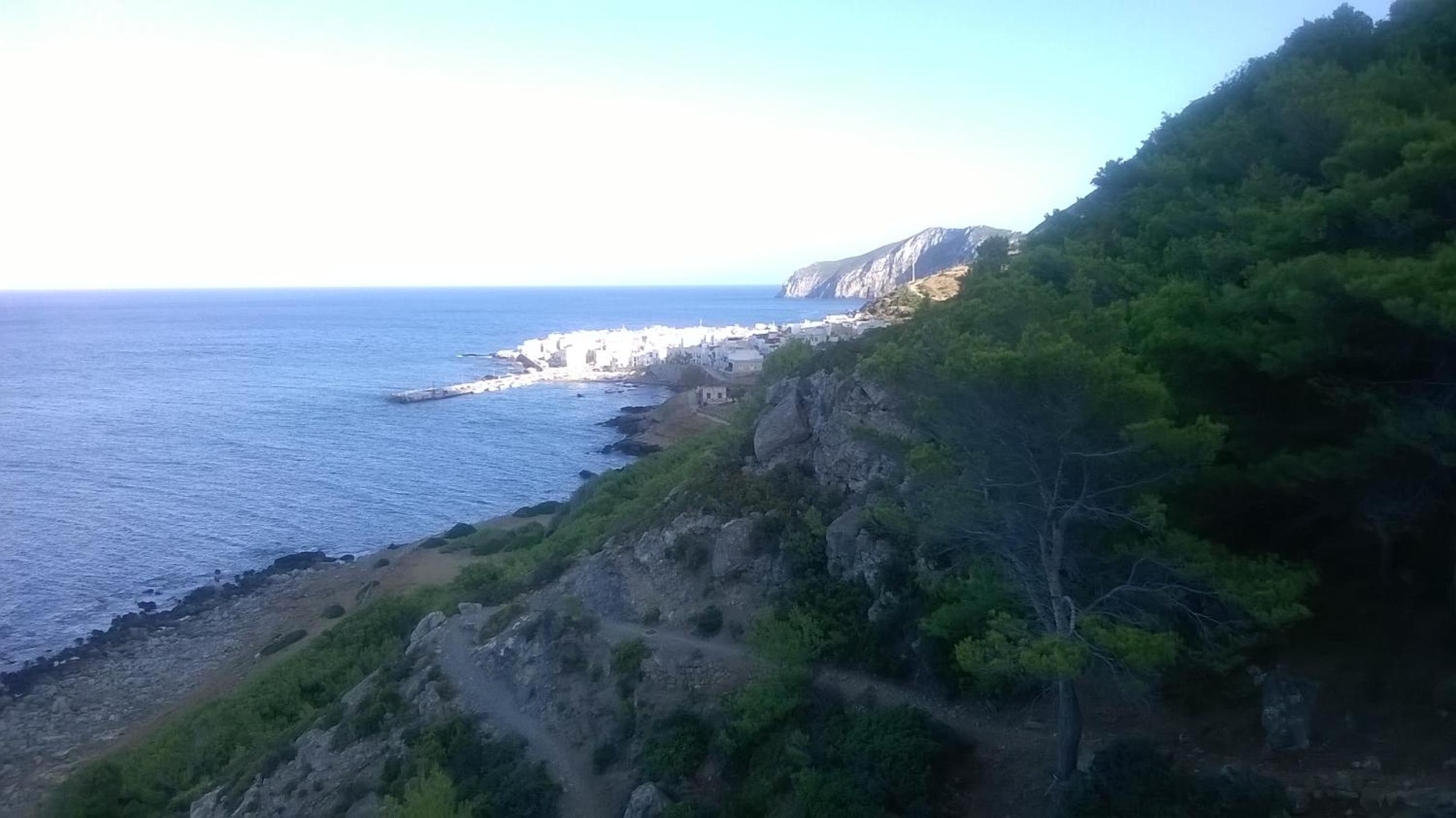 Photo 29