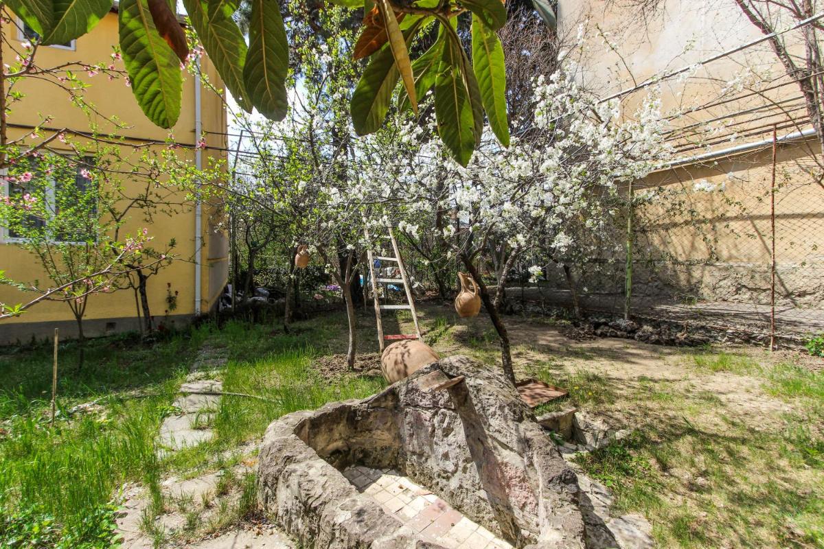 Photo 34
