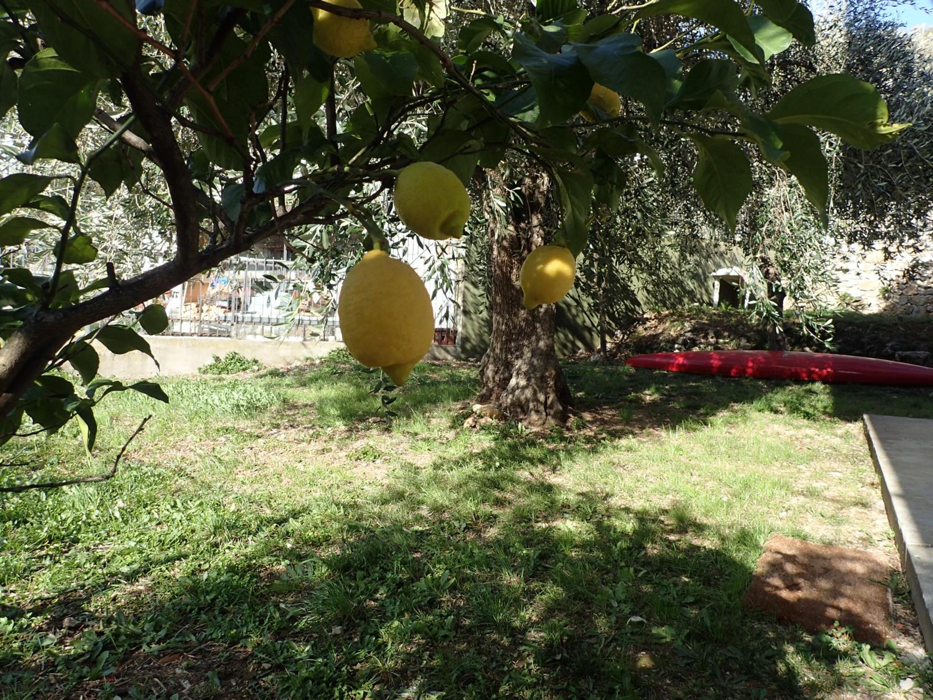 Photo 32