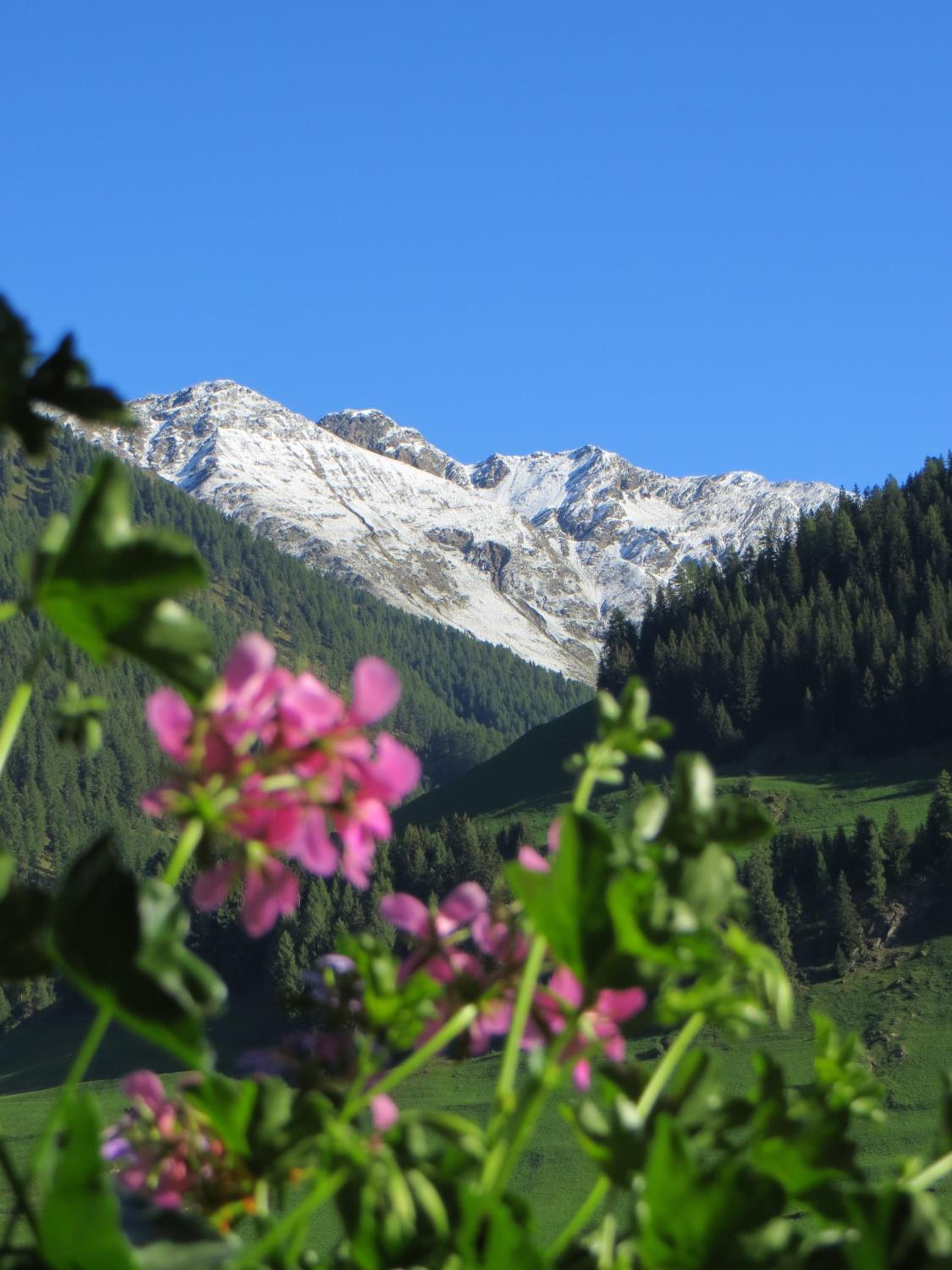 Walcheggerhof