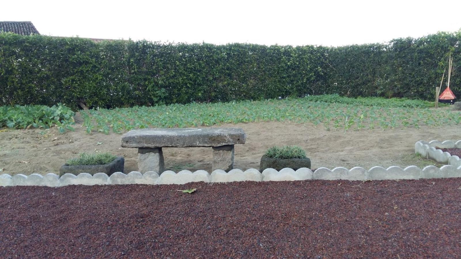 Photo 46
