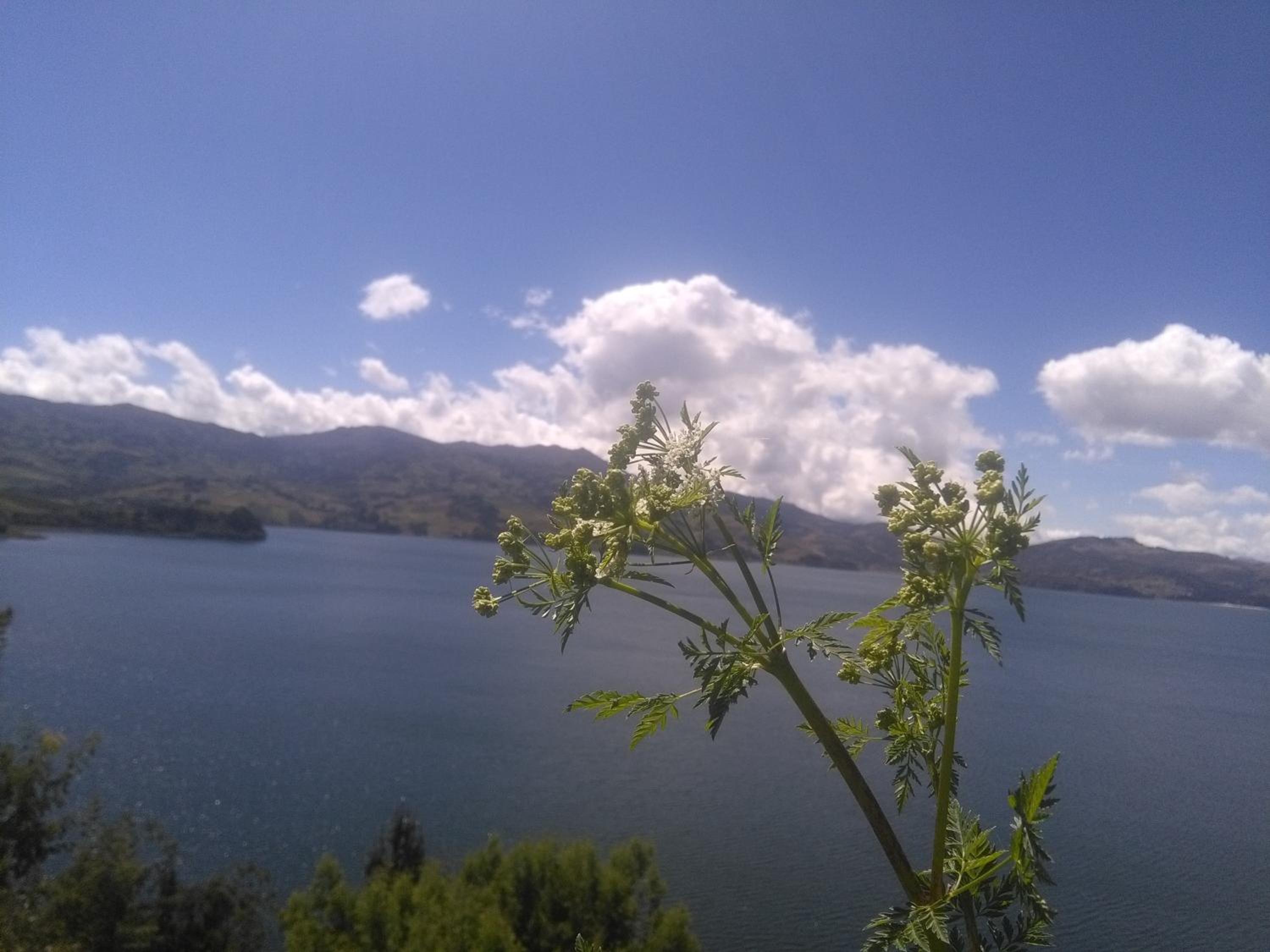 La cabaña de sol