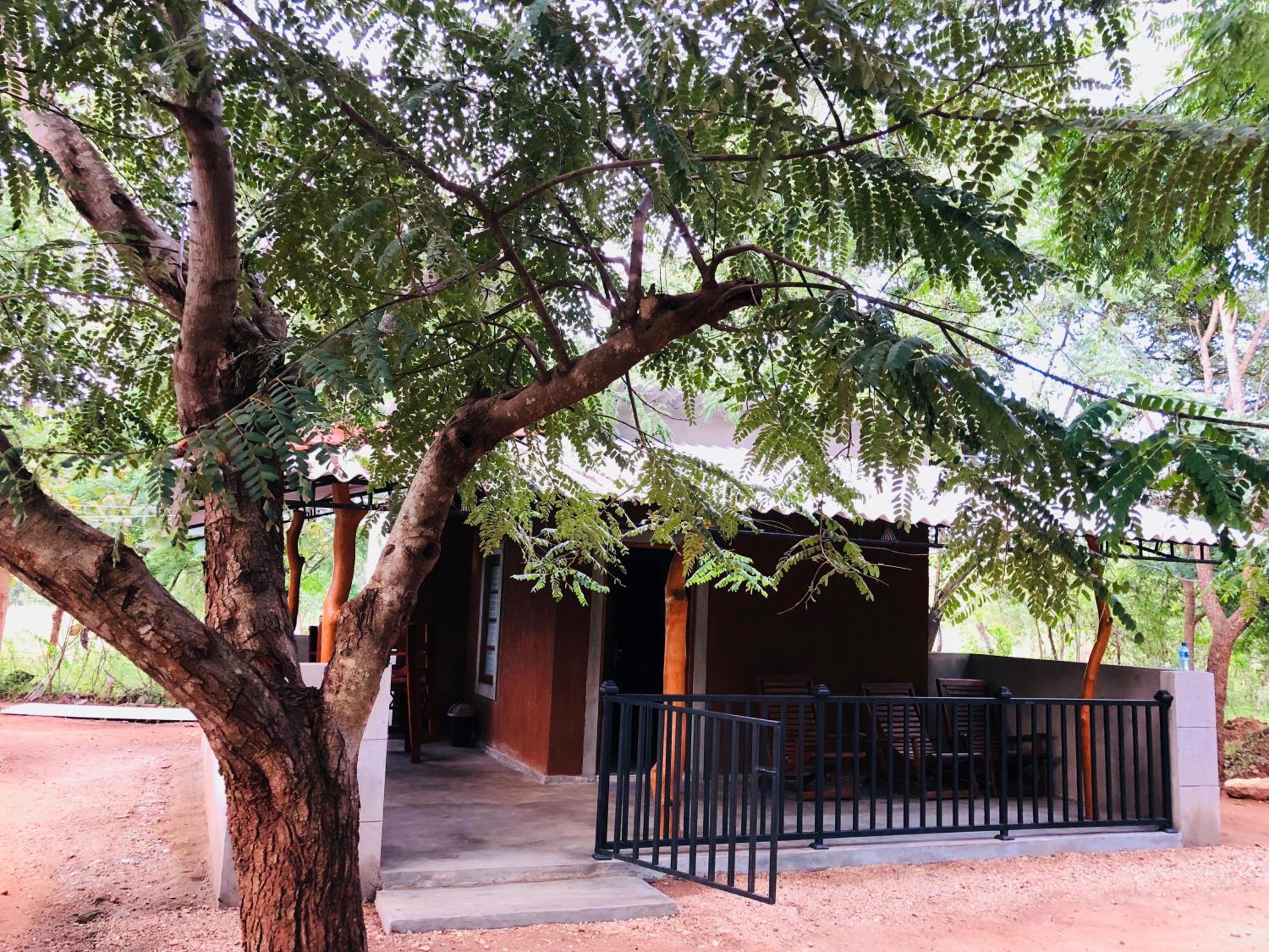 The Summer Corridor - Kataragama view 4