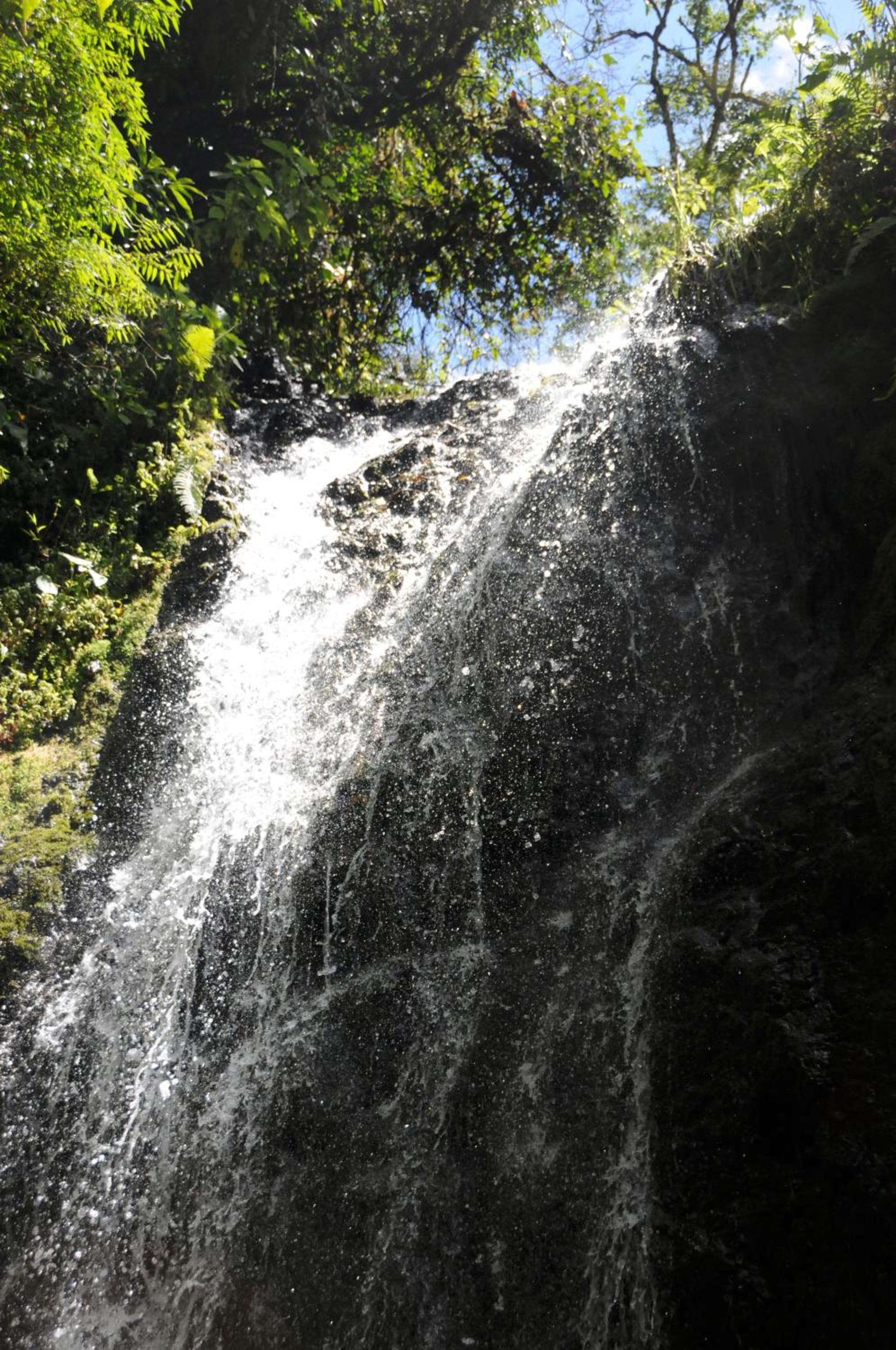 Photo 25
