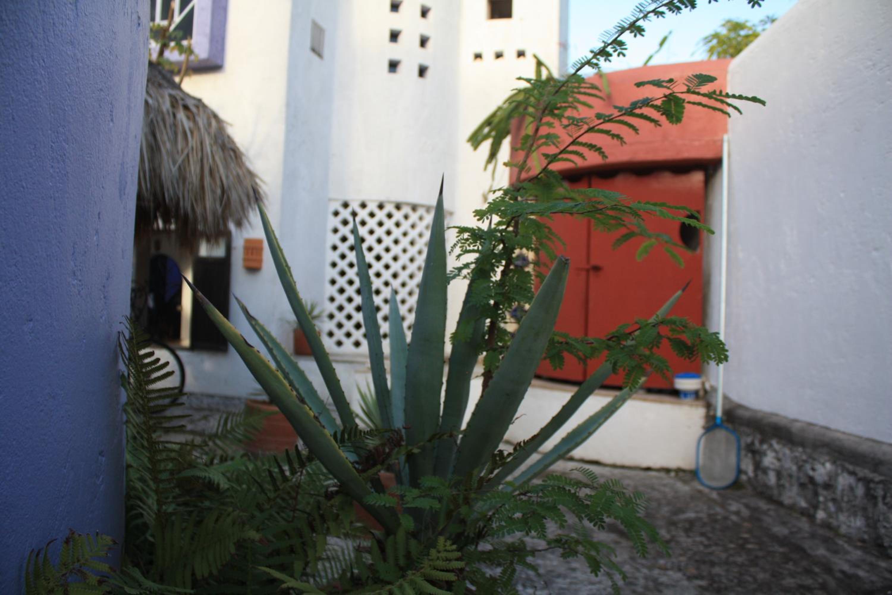 Photo 45