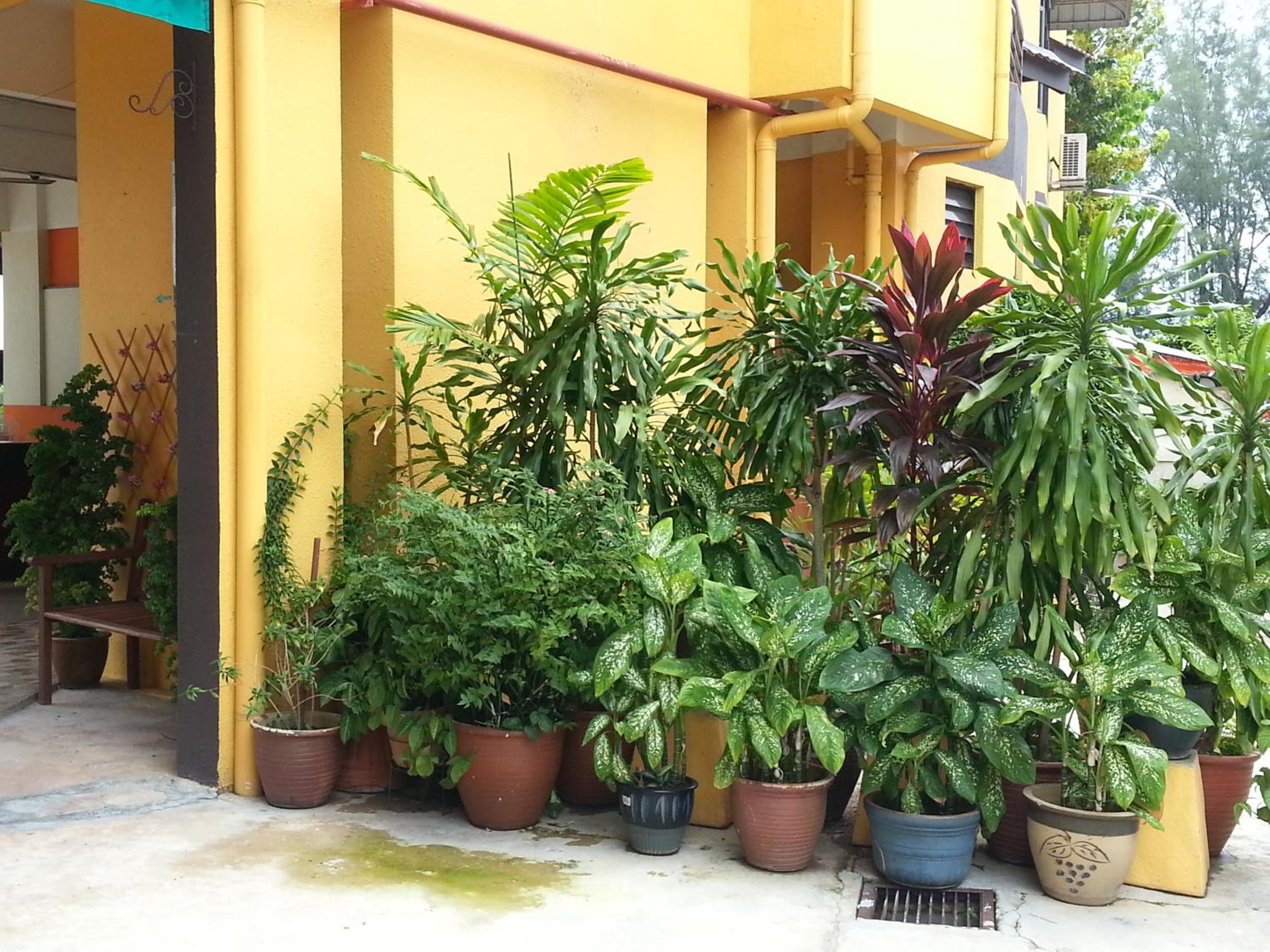 Hotel 22 Gurney, Penang photo 3
