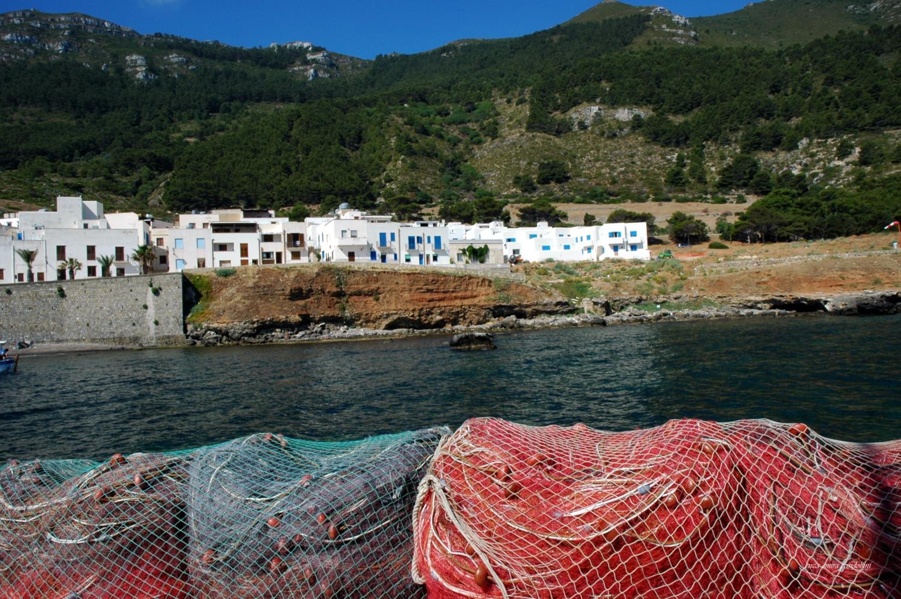 Photo 48