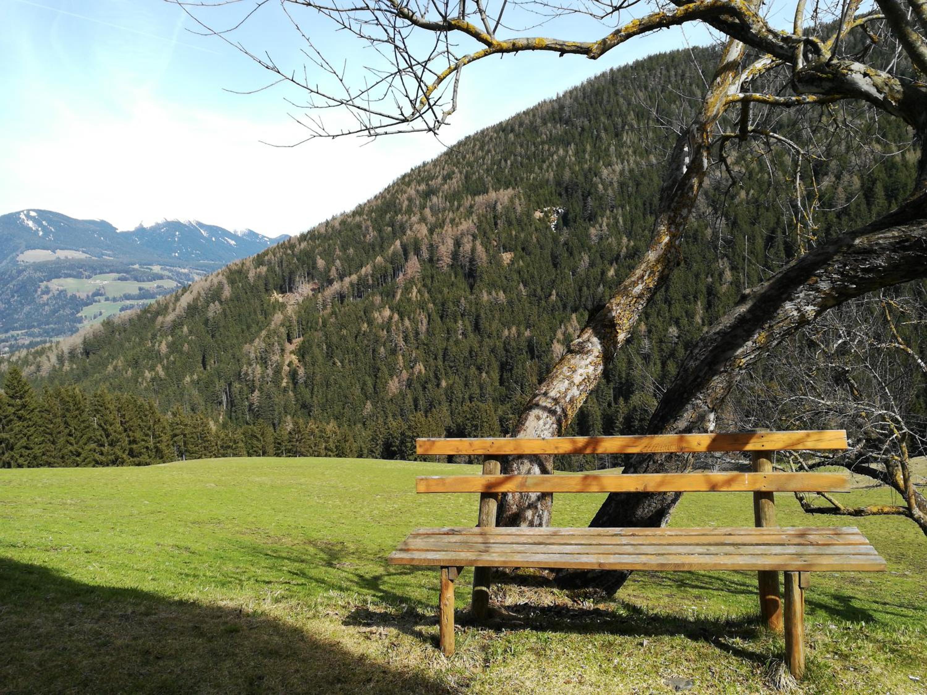 Photo 48