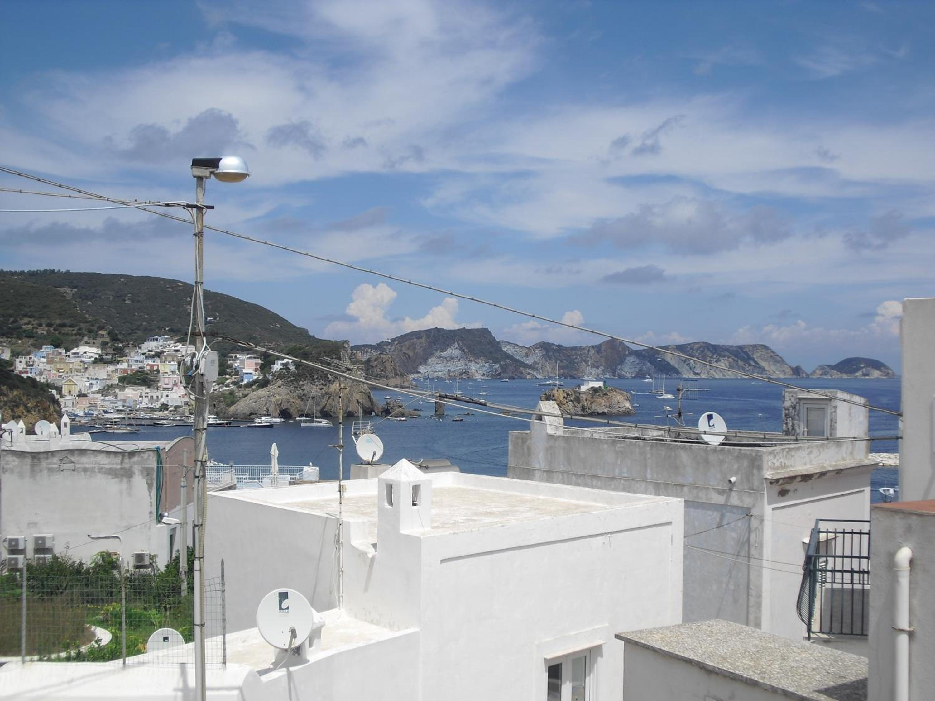 La Vite en Ponza