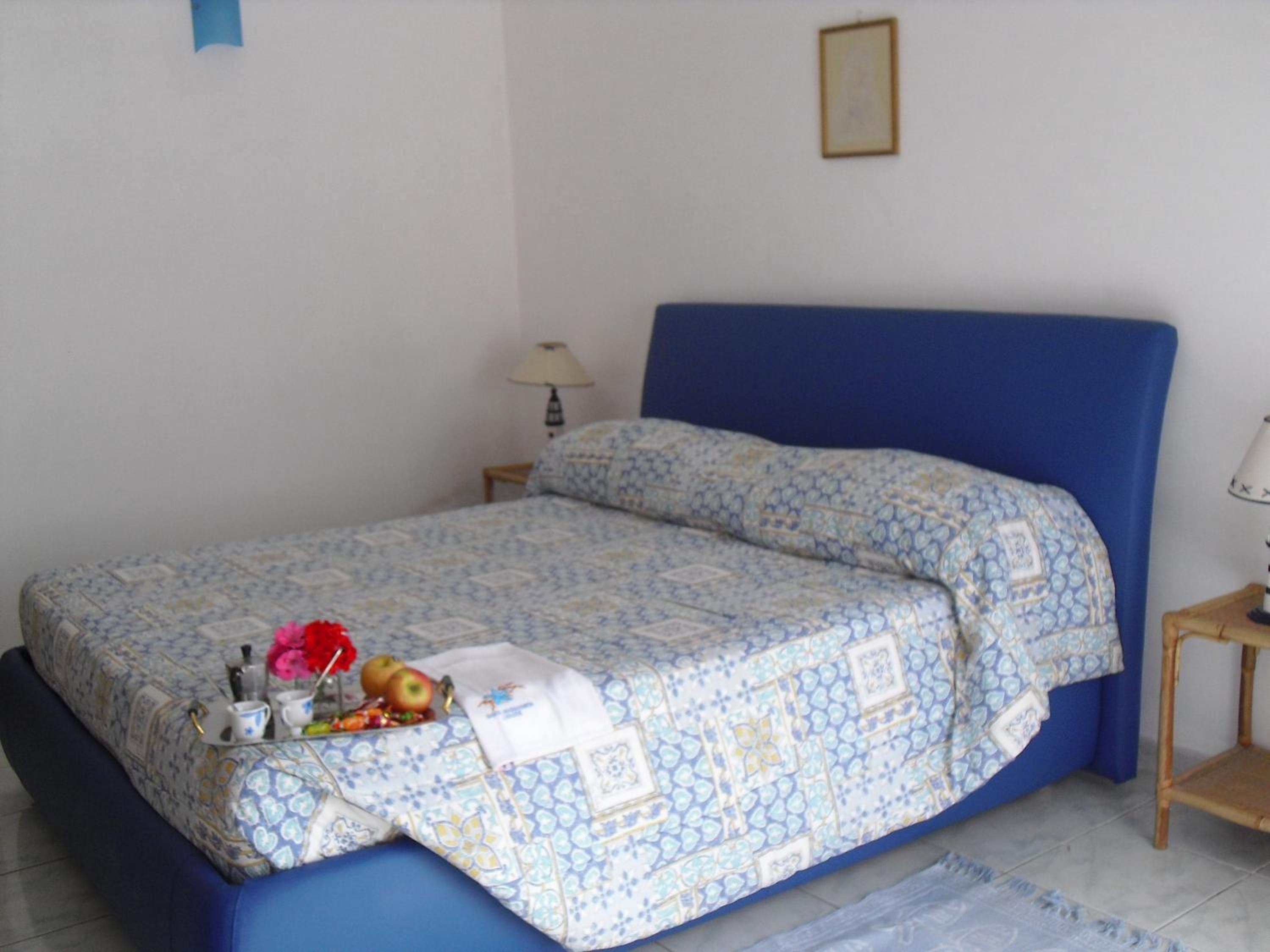 La Vite en Ponza