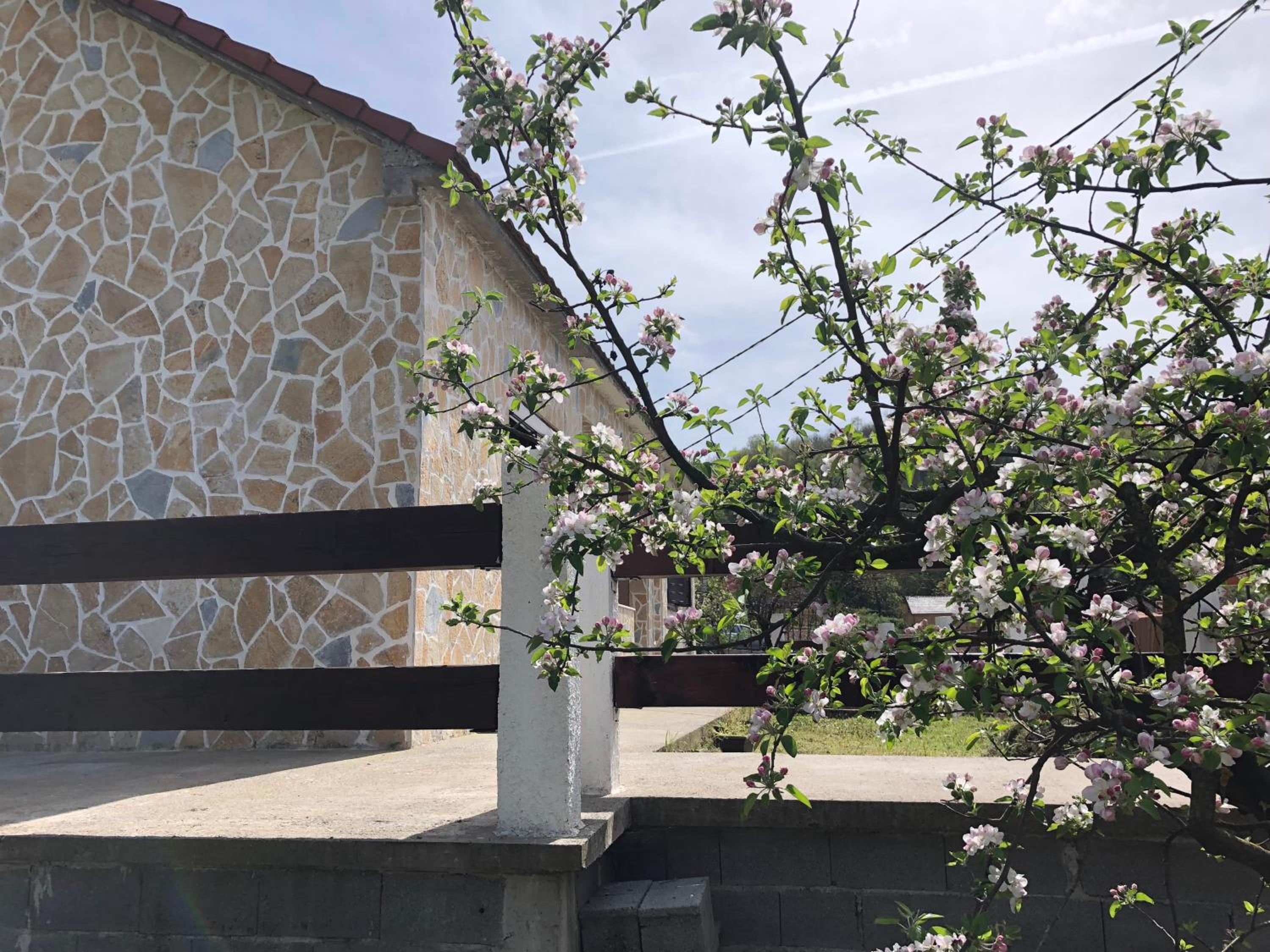 Photo 41