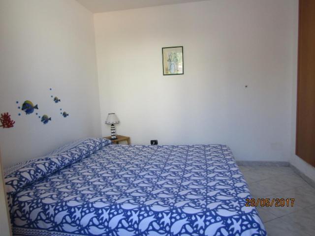 La Vite en Ponza