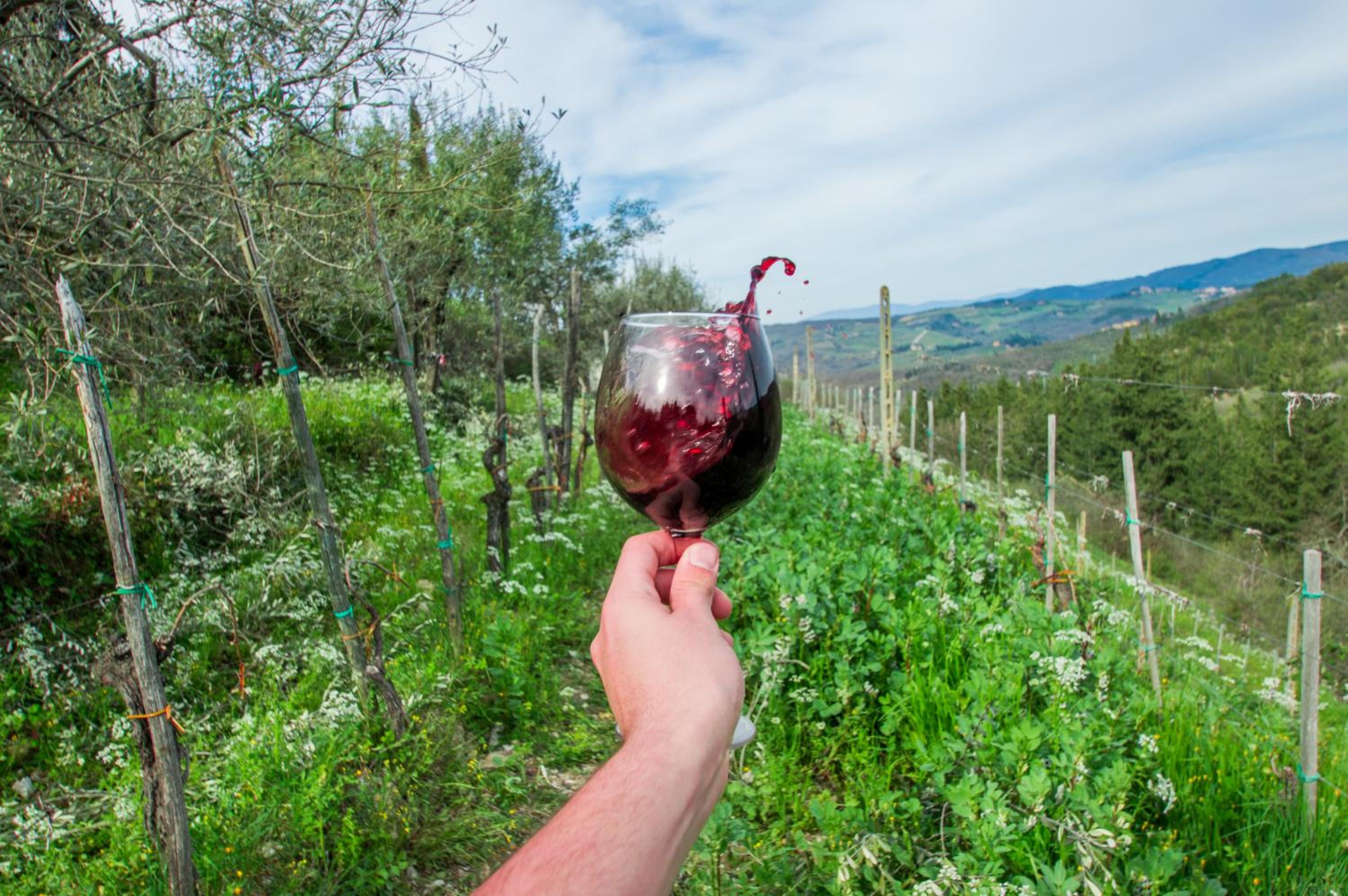 Agriturismo Montecorboli