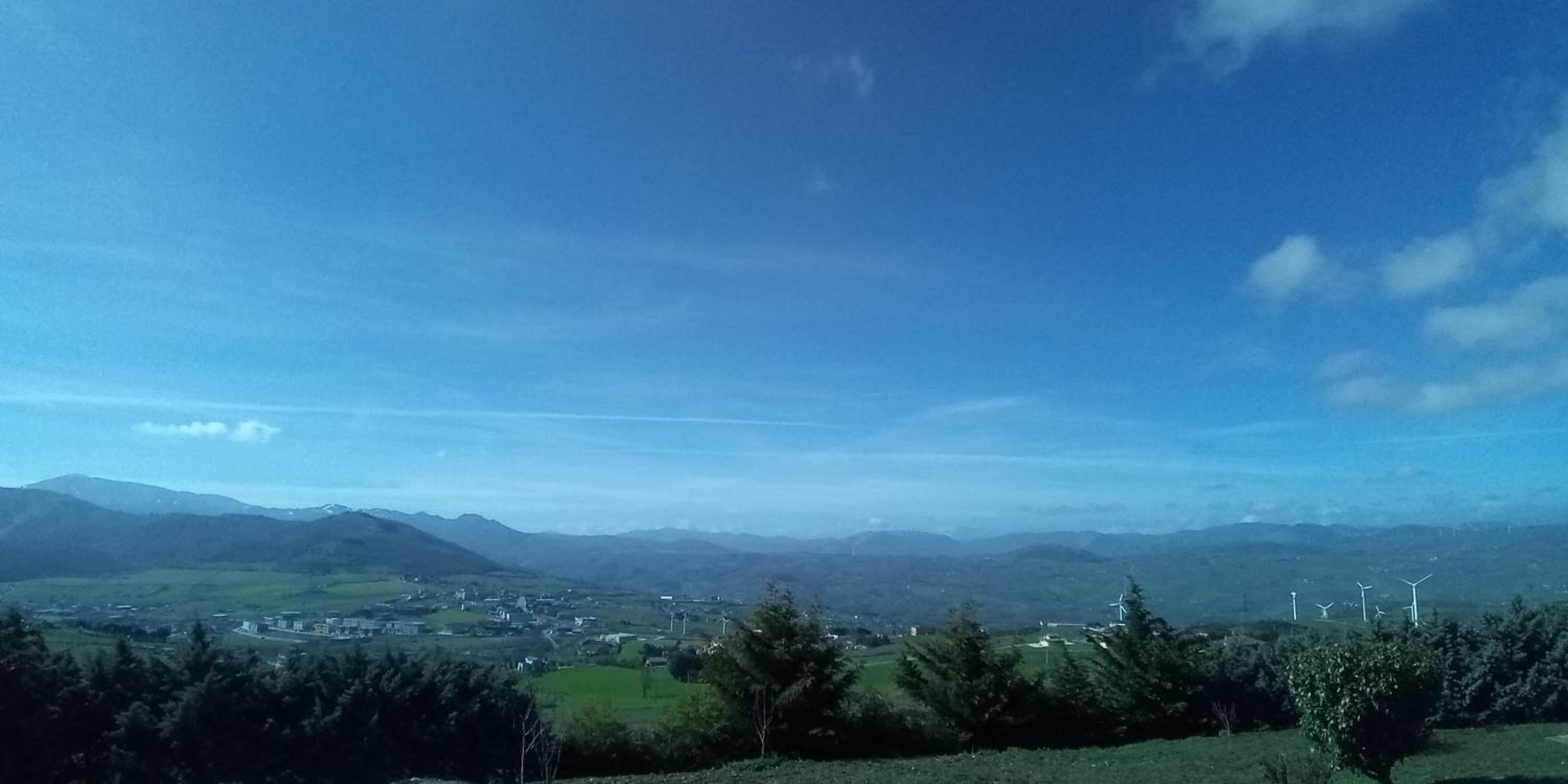 Photo 42
