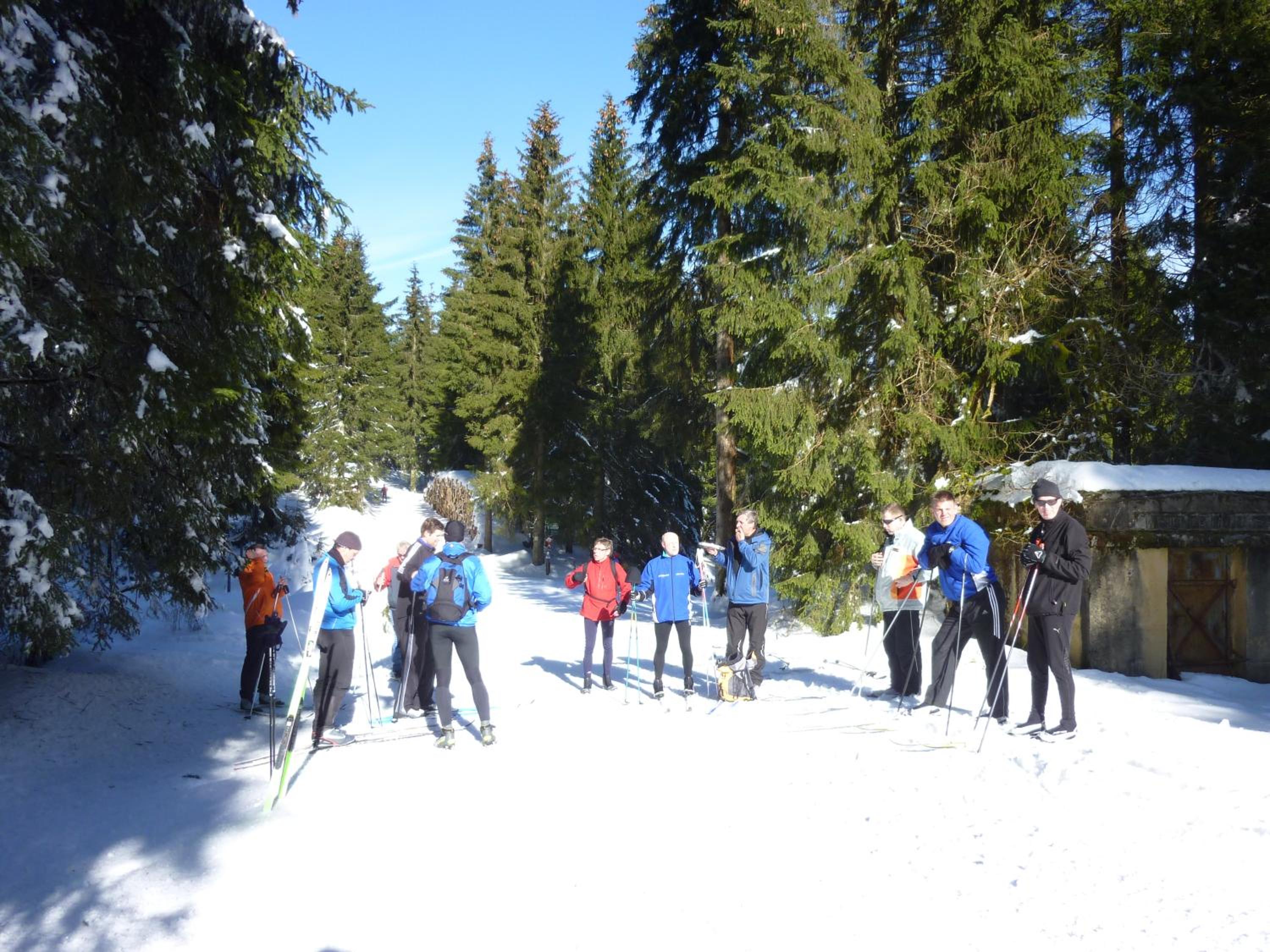 ****FH Blauvogel 60 Harz