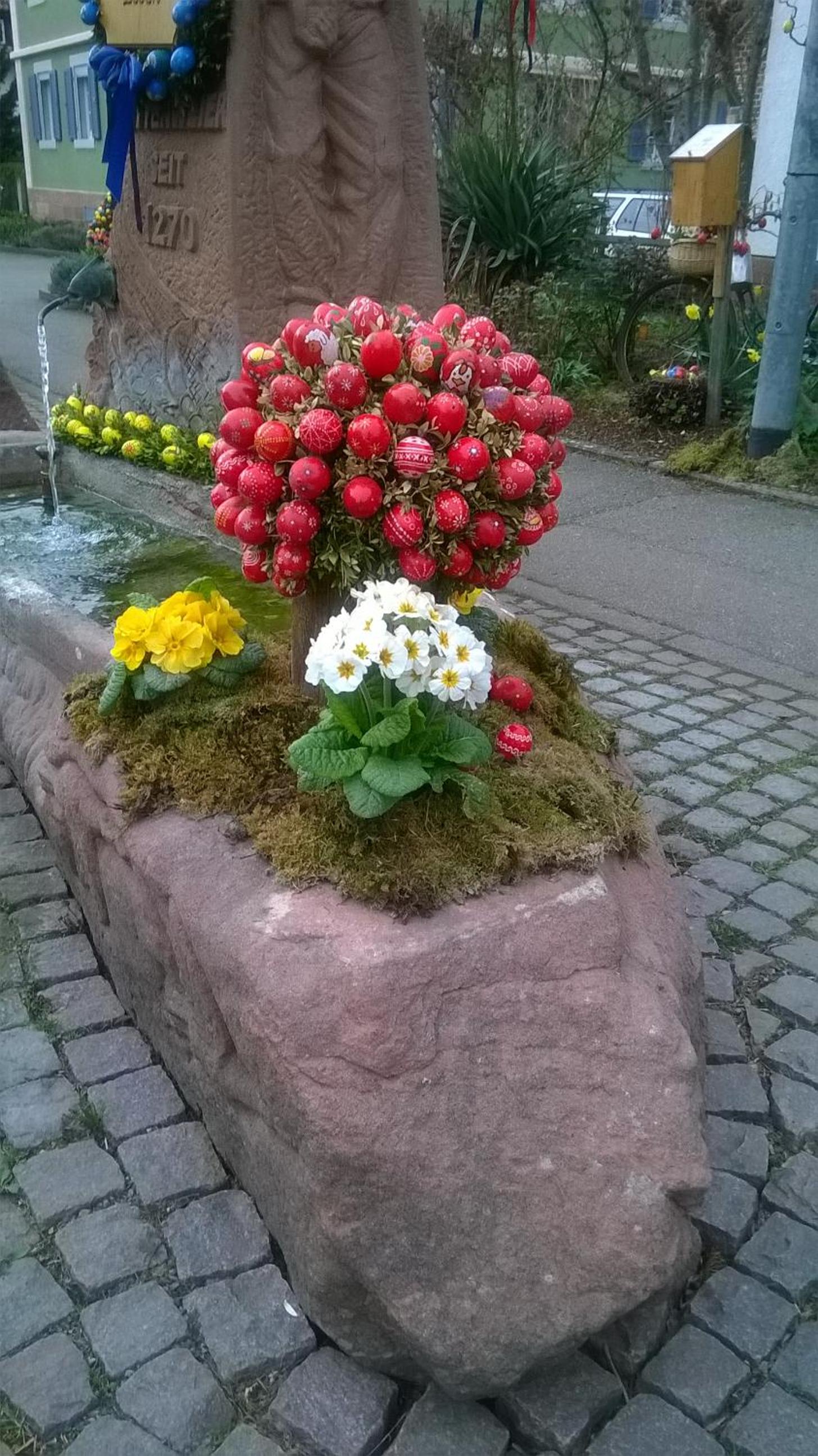 Photo 24